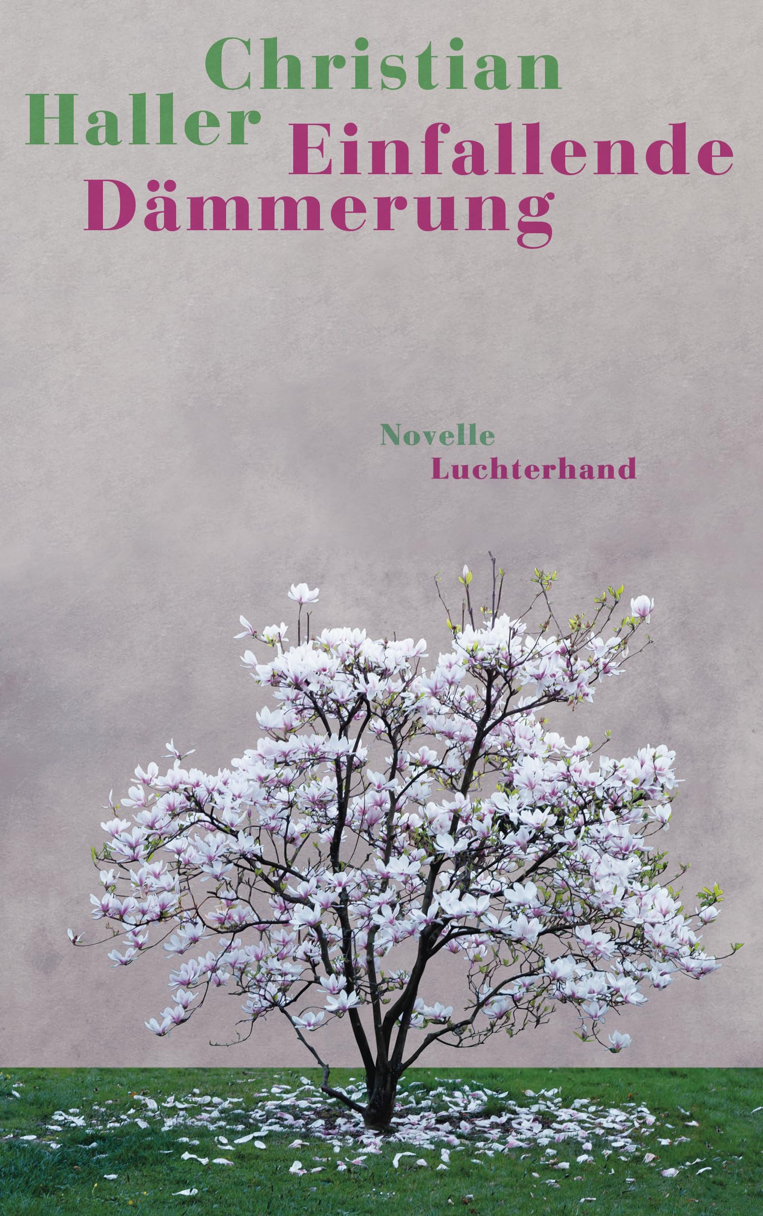 Einfallende Dämmerung: Novelle