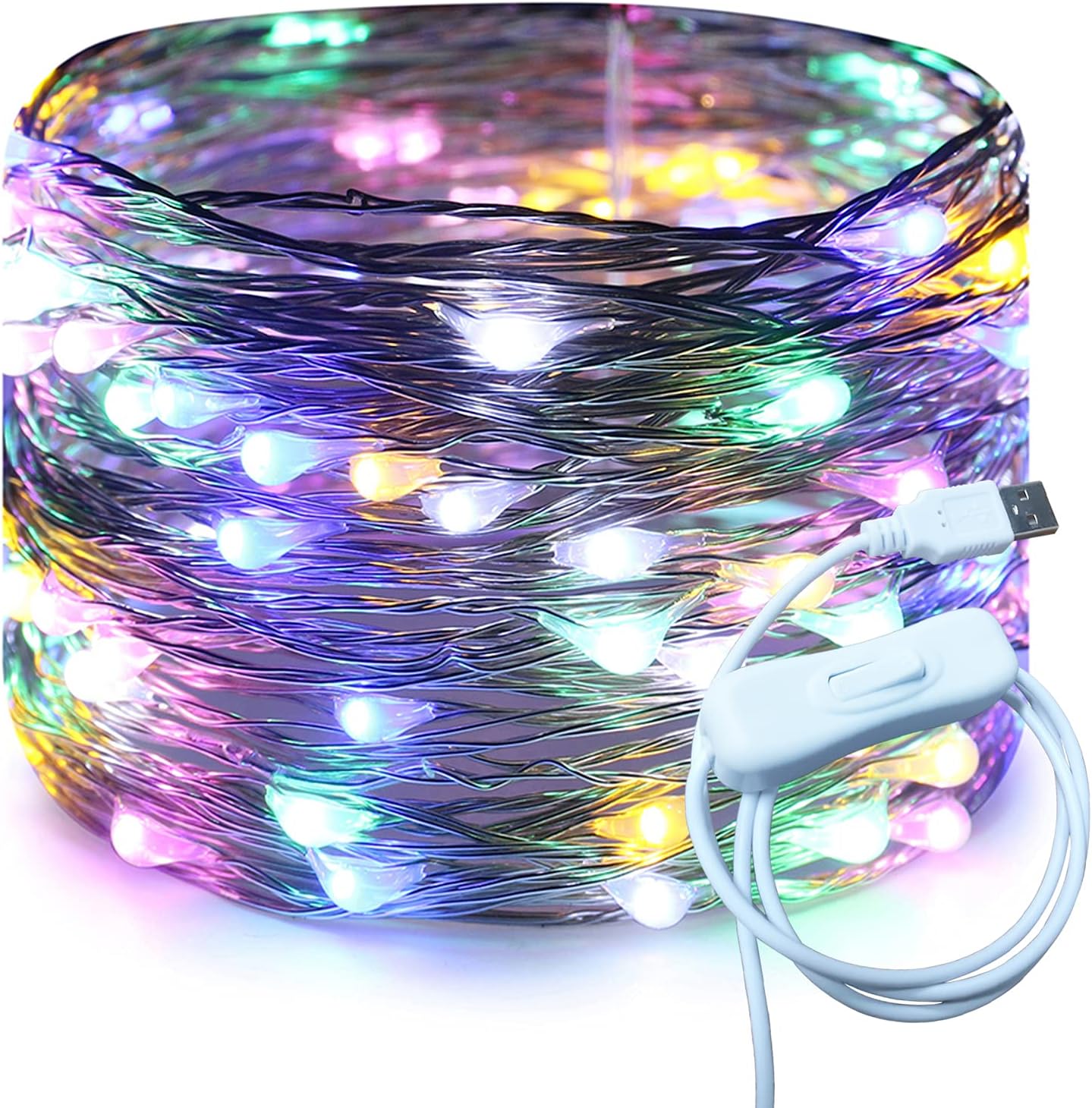 RUICHEN Silver Wire 33 Ft 100 LED USB Fairy String Lights with On/Off Switch (Multicolor)