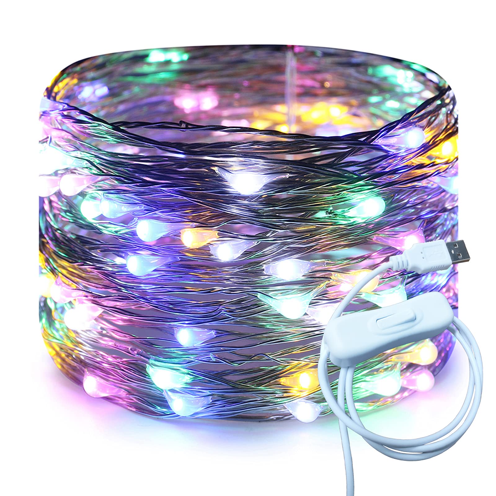 RUICHEN Silver Wire 33 Ft 100 LED USB Fairy String Lights with On/Off Switch (Multicolor)