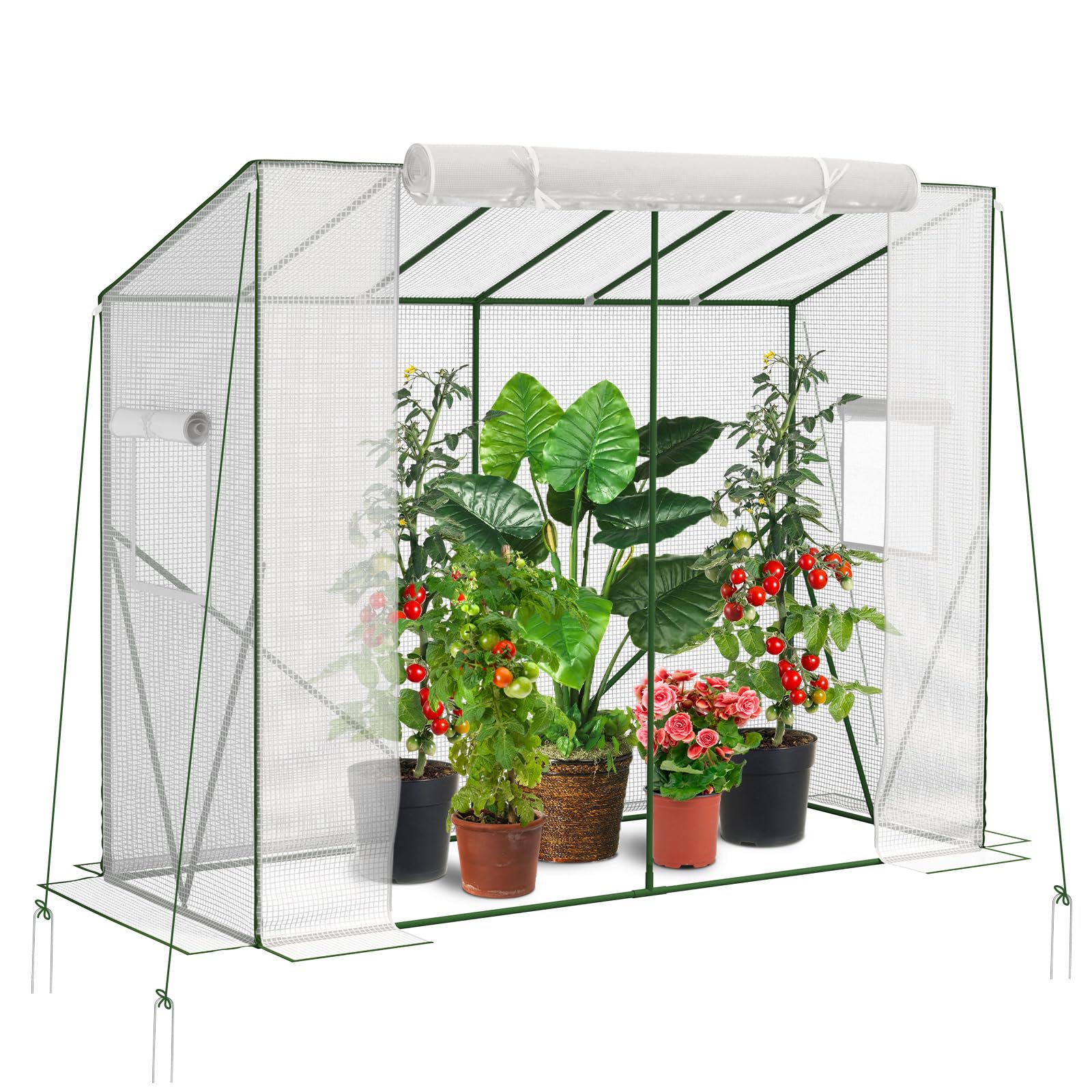 Velway Gewächshaus Tomatengewächshaus Begehbares 200x79x170/141cm | Witterungsschutz Schrägdach Foliengewächshaus, PE Gitterfolie 2 Belüftungsfenster für Balkon Garten Tomaten Gurken Paprika
