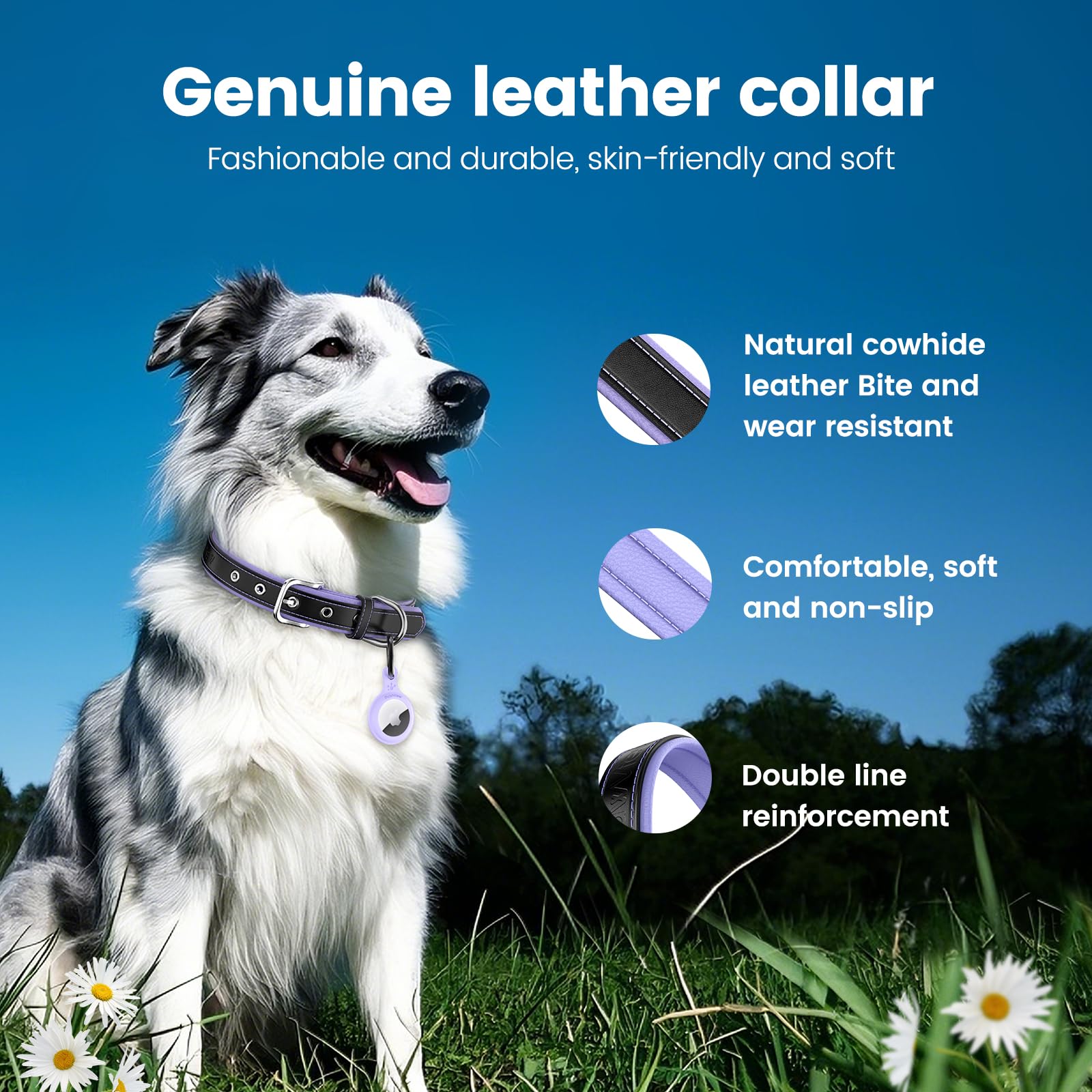 Durable Genuine Leather Dog Collar with AirTag Holder-Compatible with Airtag,Breathable Design for Year-Round Walks,Adjustable Collar for Small Medium Large Boy Girl Male Female,M,Purple - Image 3