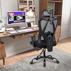 Cadeira Ergonômica 3D com Suporte Lombar Ajustável - Reclinável 90°-150°, Capacidade 150kg (Preto/Cinza) (Preto)