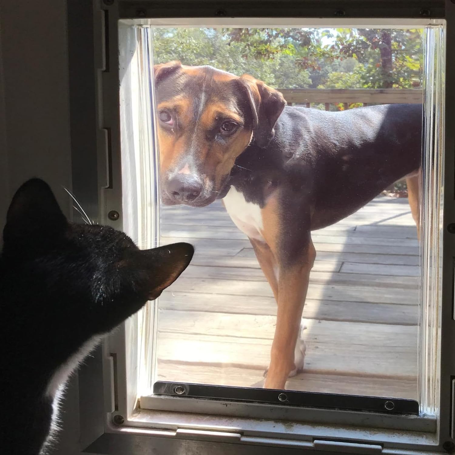 Extra Large Pet Door Replacement Flaps with Plastic Bracket, Compatible with Ideal Pet Products Designer Series Plastic Pet Door RFXLN, Doggy Door Vinyl Replacement Flap, Measures 10.5" x 15"
