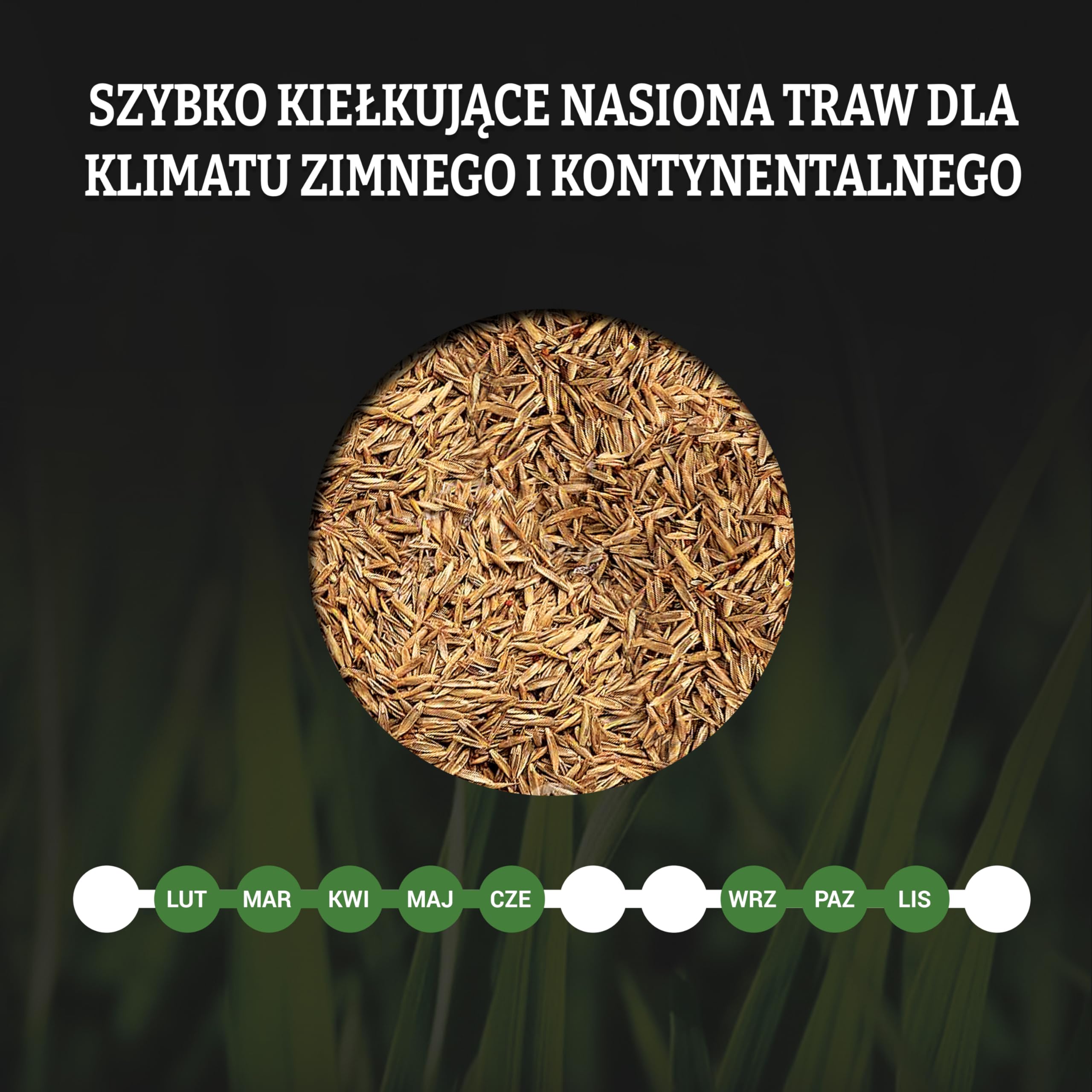 LERAVA TURBO nasiona trawnika (720m²) - szybko kiełkująca mieszanka traw - idealna do chłodnych obszarów - intensywnie zielona trawa do ogrodu i regeneracji trawnika