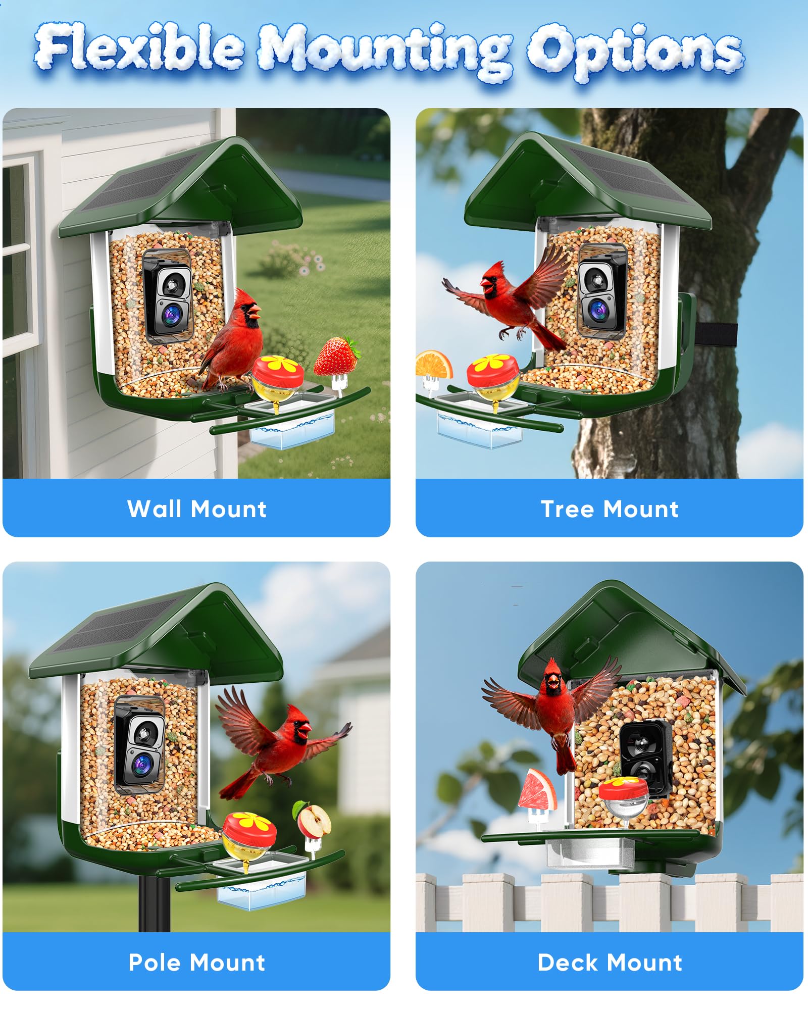 Comedero para pájaros con cámara: alimentador de cámara inteligente para pájaros alimentado por energía solar, alimentación en vivo 2K para patio trasero, identificación de inteligencia