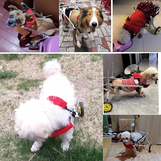 Foto 5 de 5 de Silla de Ruedas para Perros Sillas de ruedas para perros mayores y discapacitados