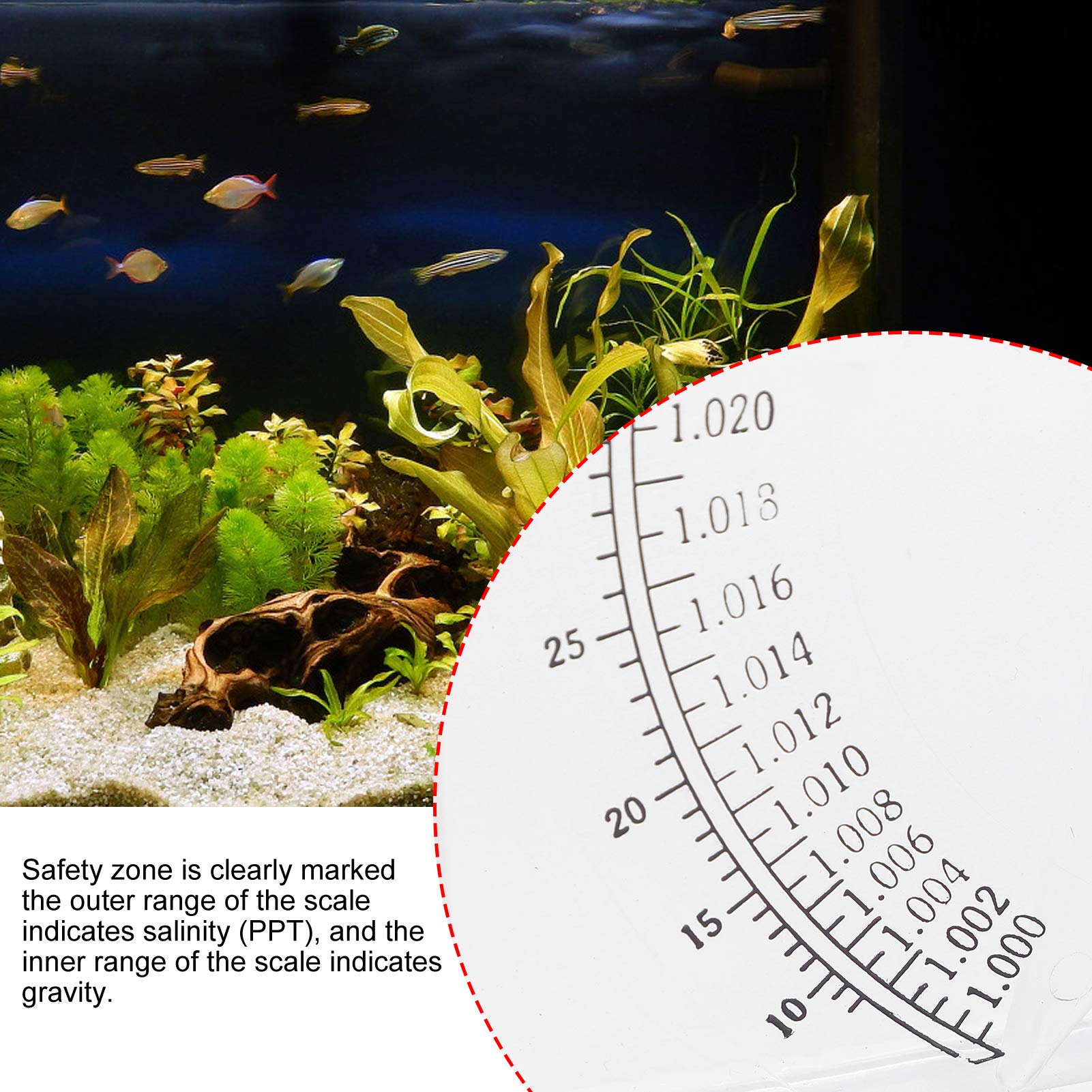 Medidor de salinidad marina preciso para acuario de salinidad para prueba de gravedad específica para acuario, Hd-t-h008