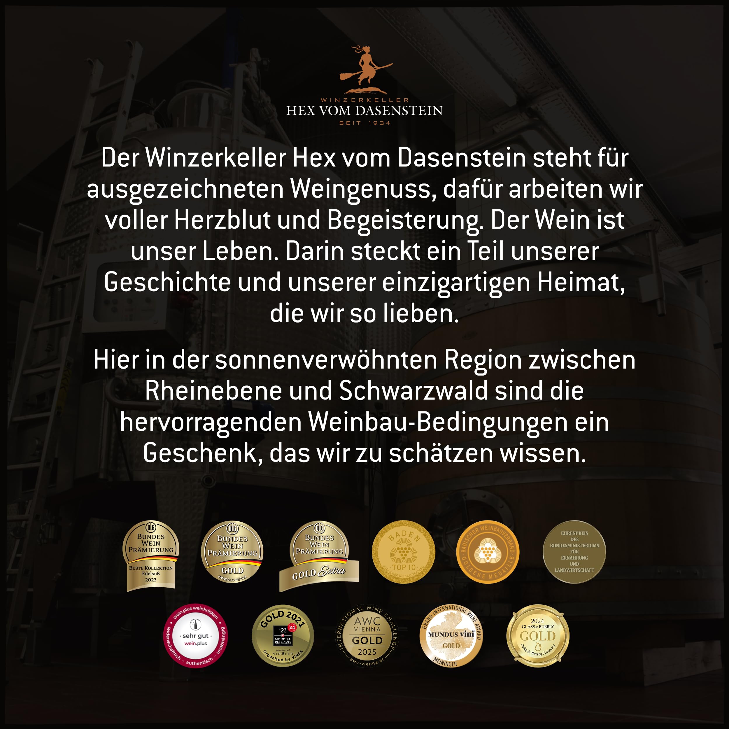 Villa Heynburg Cuvée Noir Qualitätswein trocken - Rotwein Cuvée aus hochwertigen, renommierten Rebsorten, modern und aromatisch - Badischer Wein, Anbaugebiet Ortenau (6 x 0,75 l)
