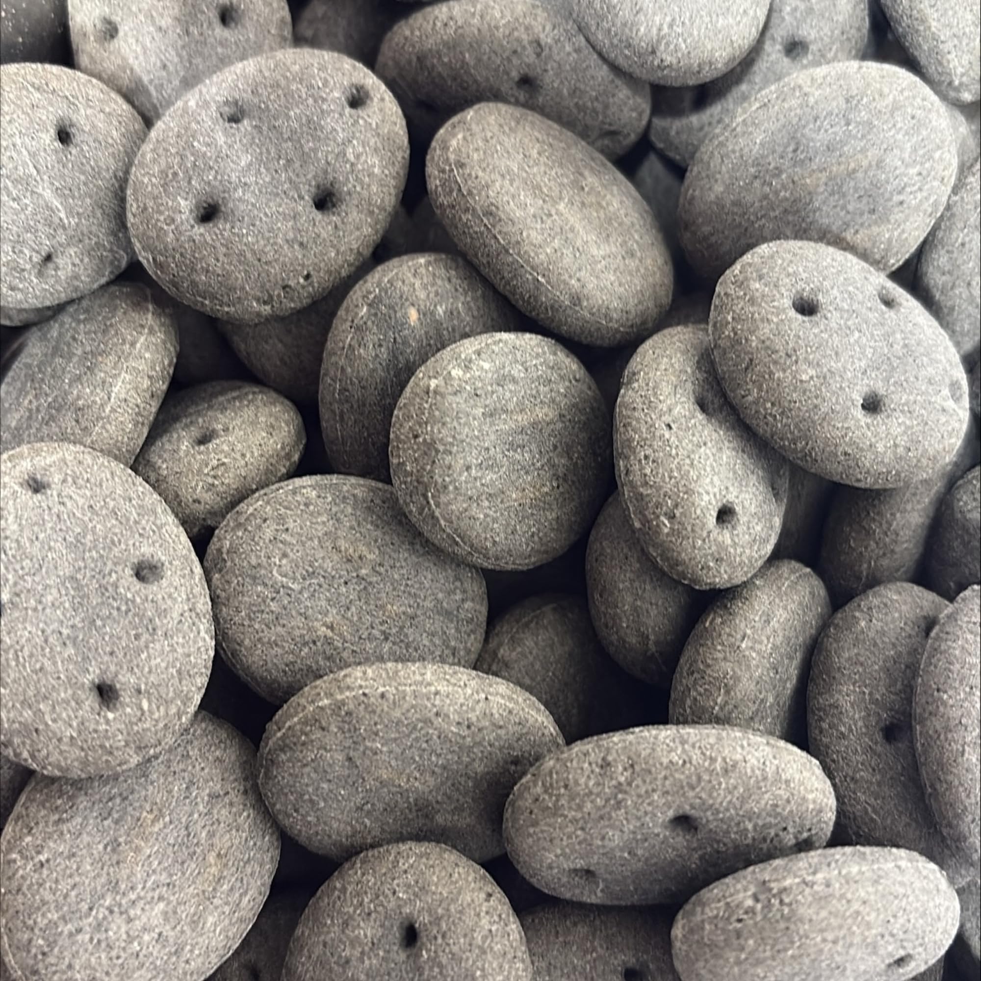 3kg Pointer Charcoal Cobs Digestive Support Dog Biscuits with Charcoal โ Crunchy Complementary Pet Food for All Life Stages โ Aids Digestion & Reduces Gas โ Suitable for Small, Medium & Large Dogs