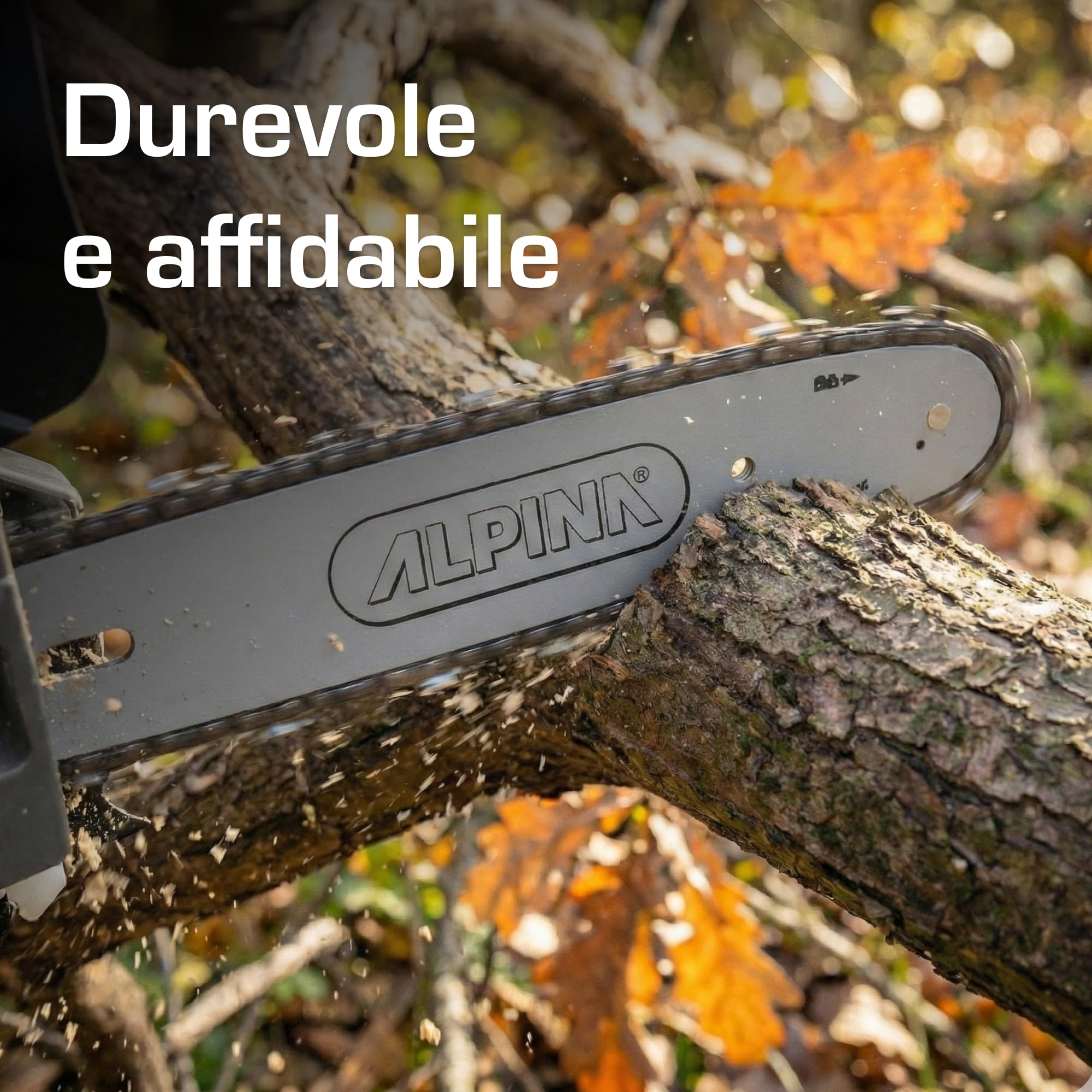 Alpina APR 25 Motosega da potatura, 25,4 cc – Barra 25 cm, Pompa olio automatica regolabile – Per potatura di alberi e arbusti