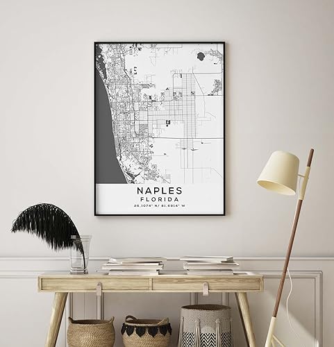 Miniatura 8 de Mapa de Nápoles, Florida, Light 2 (18x24)