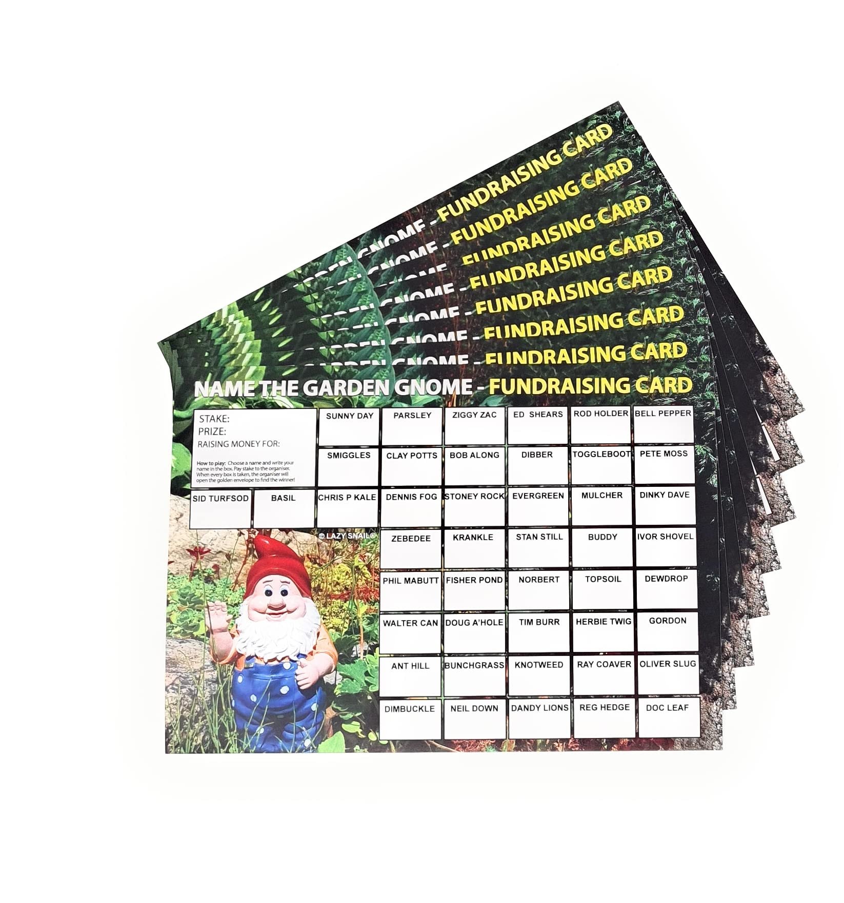 Lazy Snail ‘Name the Garden Gnome’ Fundraising Cards Pack of 8 (A4 Size - Image 4
