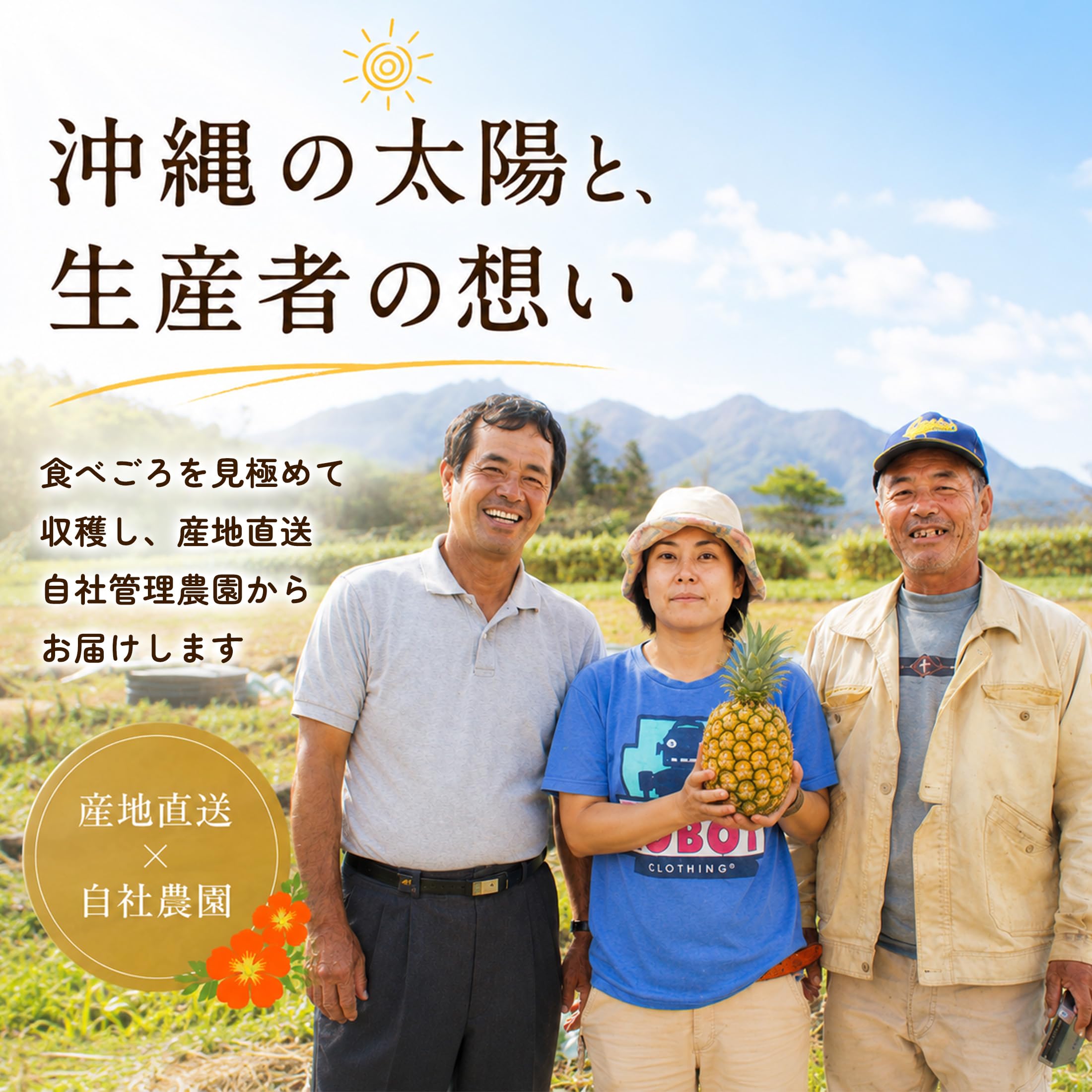 限定甘い樹実り完熟スナックパイン❣️生産量日本一の東村のパイナップル10K 限定甘い樹実り完熟スナックパイン❣️生産量日本一の東村の