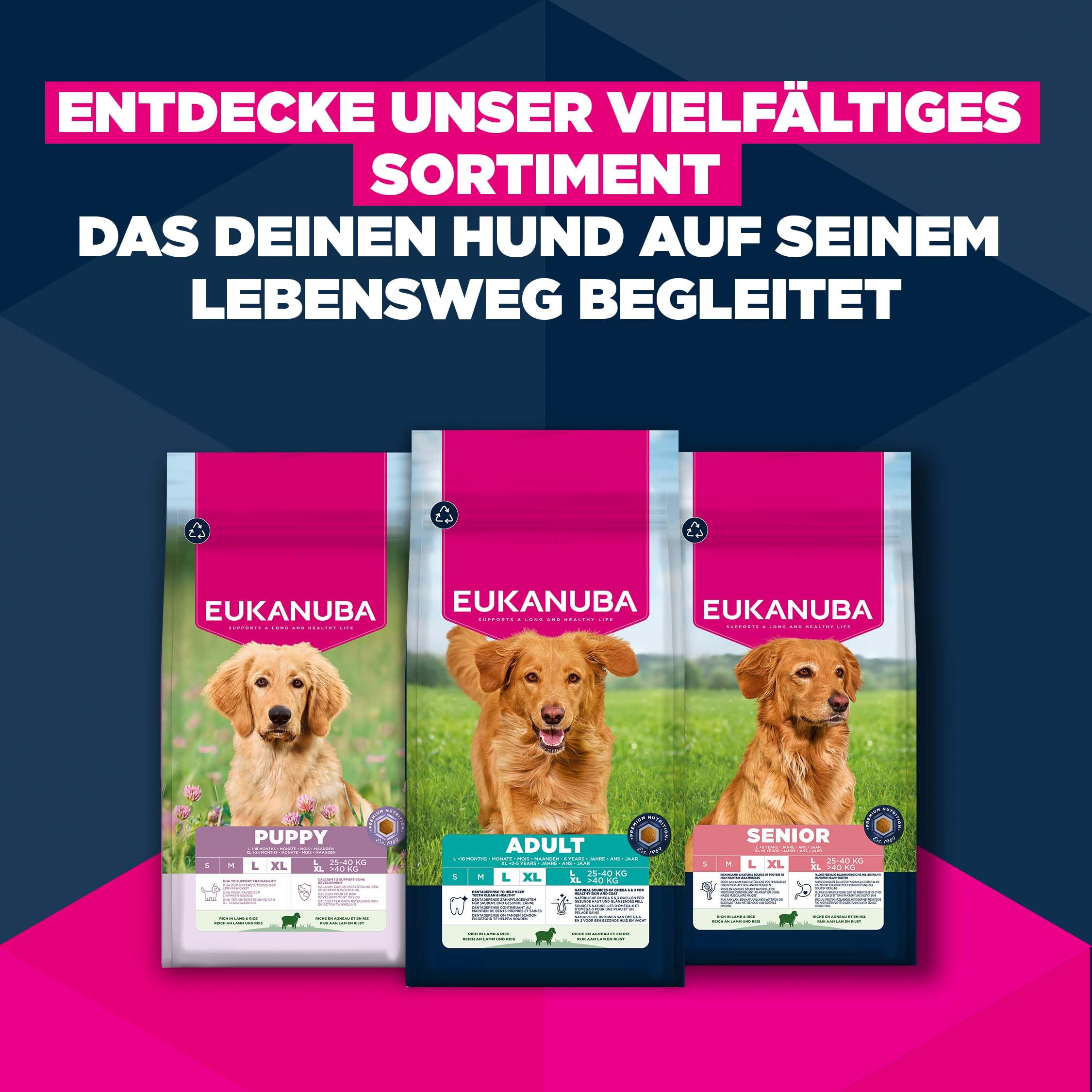 Eukanuba Senior Hundefutter mit Lamm und Reis für große Rassen - Premium Trockenfutter für ältere Hunde, 12 kg