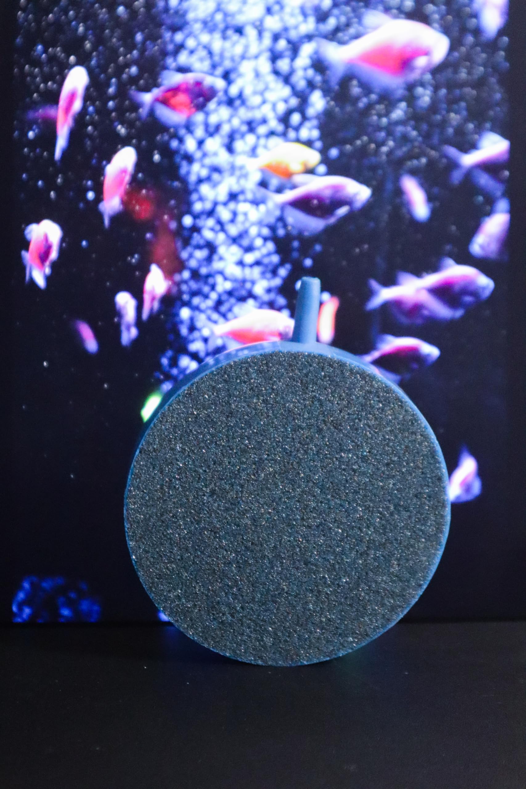 ESPERAR™ 3 Inch Round Air Stone Disc Bubble Diffuser for Aquarium Fish Tank Hydroponics Pump Ceramic Airstones Air Pump (B0CZ99NM5Q) Amazon Price History, Amazon Price Tracker
