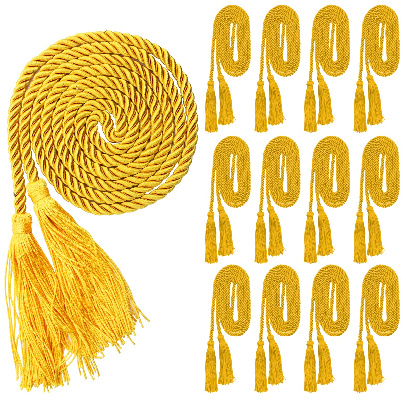 12 Pcs Graduation Honor Cord Rayon Braided Honor Cords,2026 Graduation Cords,Tassel Honor Cords for Graduation Students Bachelor Master Doctoral Gown