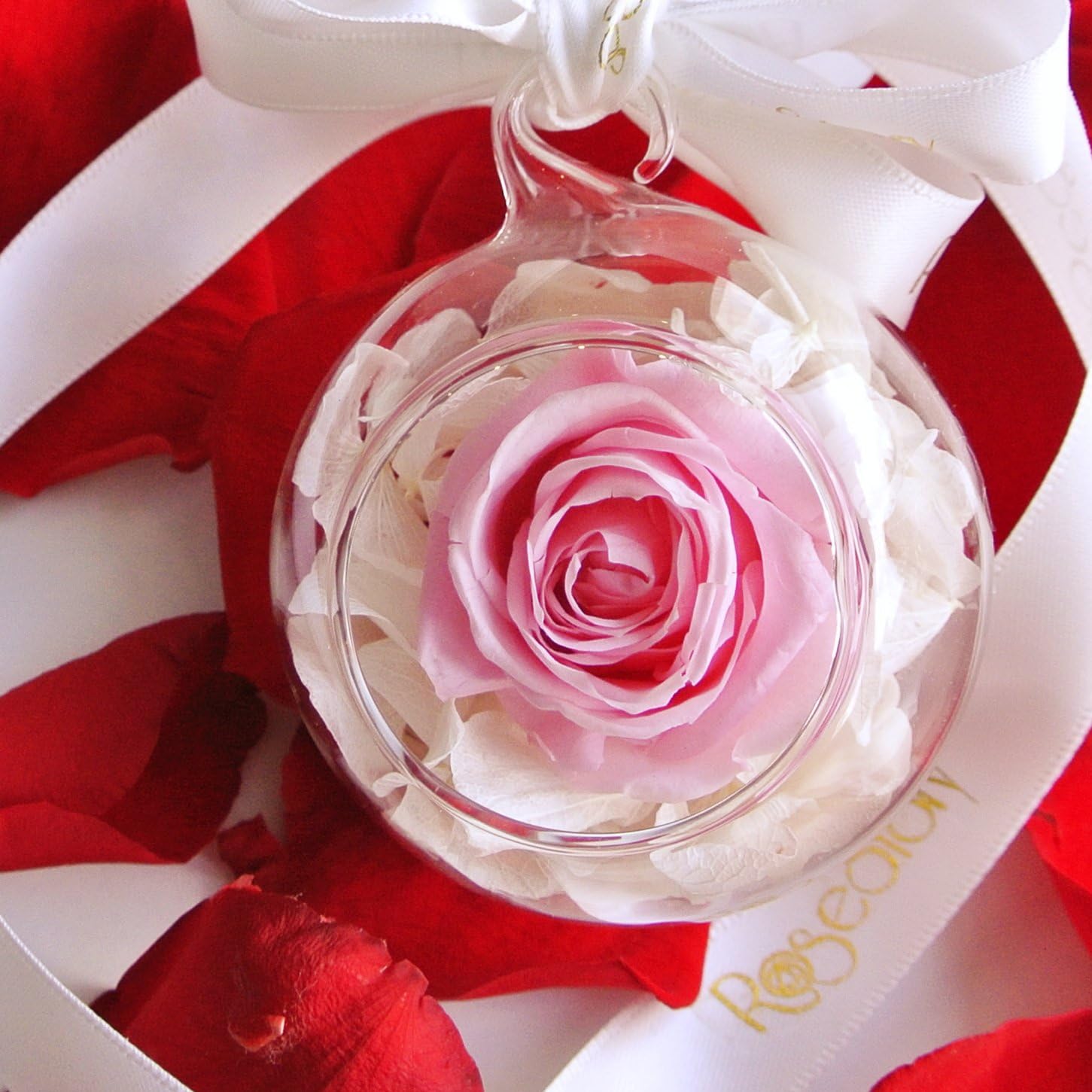 RoseStory®|Preserved Pink Rose Terrarium|Glass Hangning Terrarium Kit