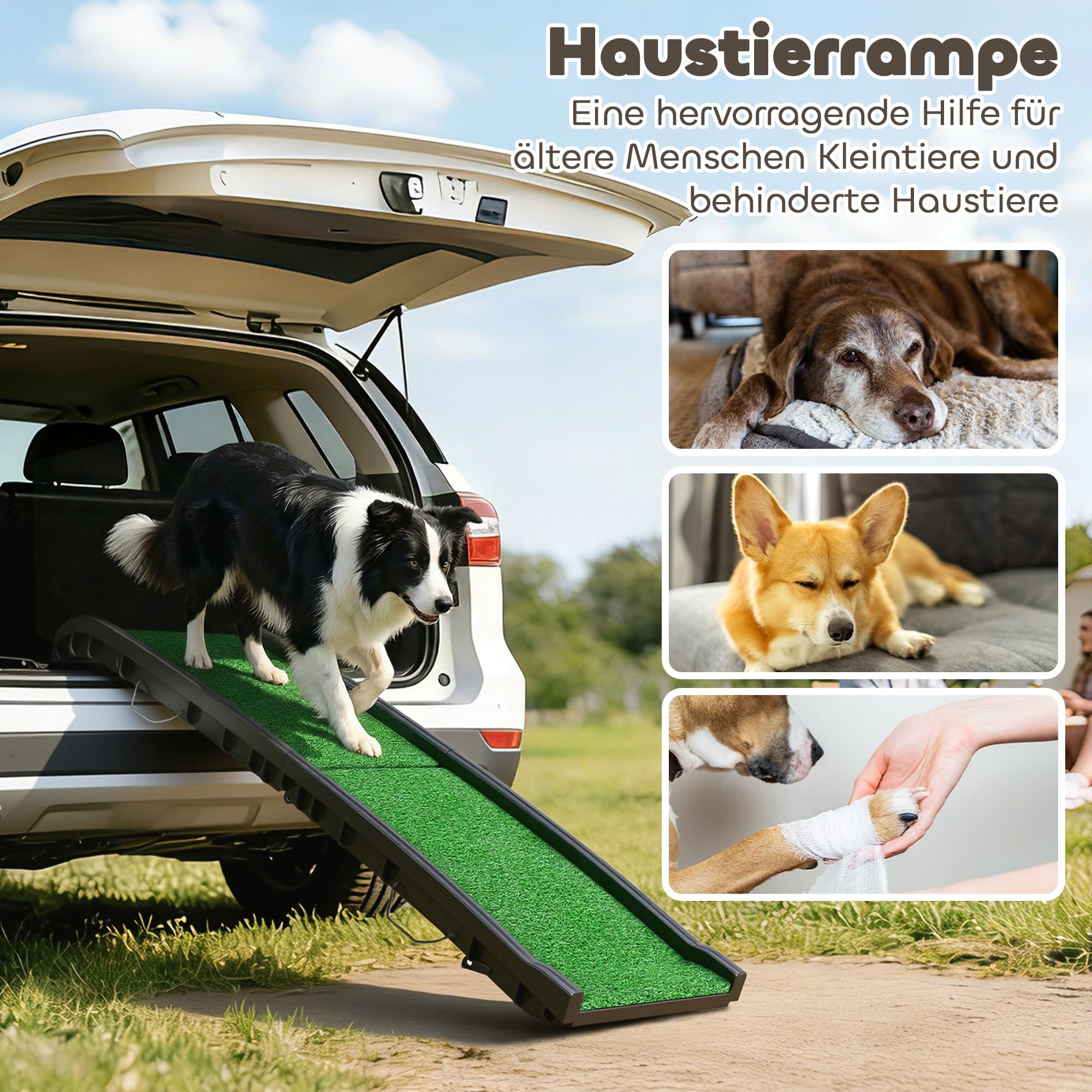 PawHut Rampe pour chien pliable antidérapante 155 x 38,5 cm 90 kg Noir