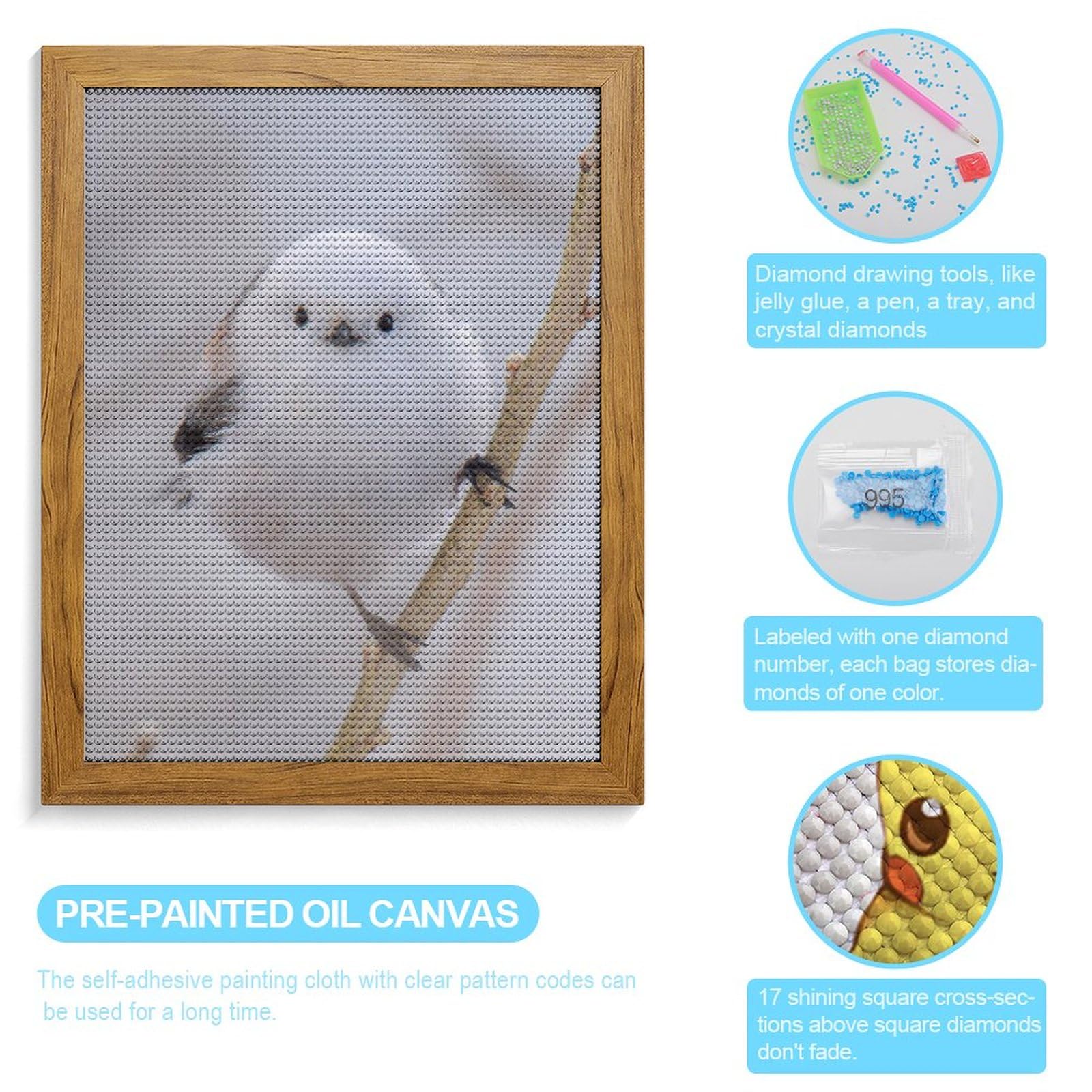 Amazon | シマエナガ 鳥柄 ダイヤモンドアート 5D ビーズアート ビーズ