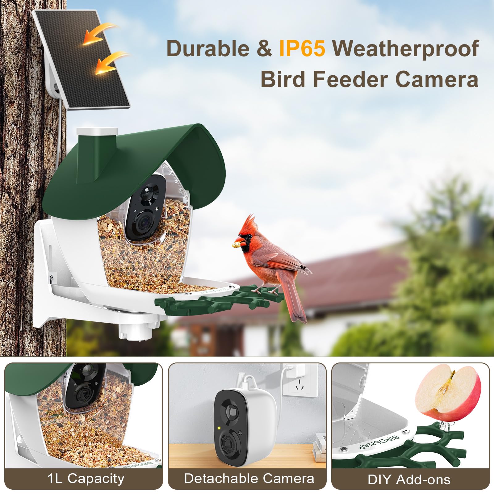 birdsnap® P33 - Comedero para pájaros con cámara alimentada por energía solar, cámara de video desmontable 2K con tarjeta de 32 GB, identificación de especies de plumas, grabación automática en el