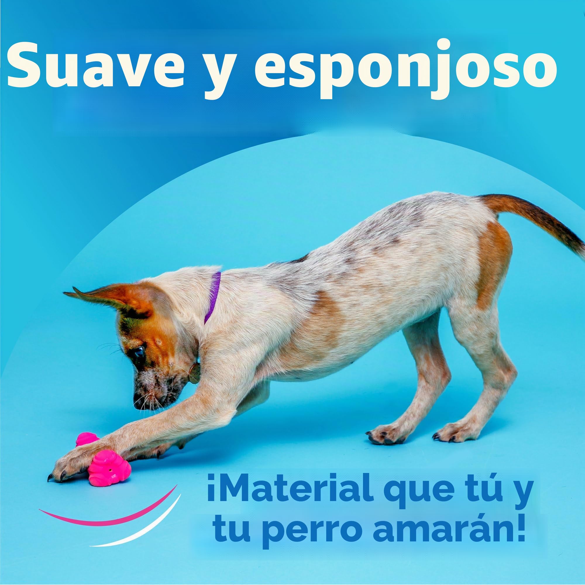 Hartz DuraPlay - Juguete de látex chirriante para Perros de Razas Medianas, Paquete de 3