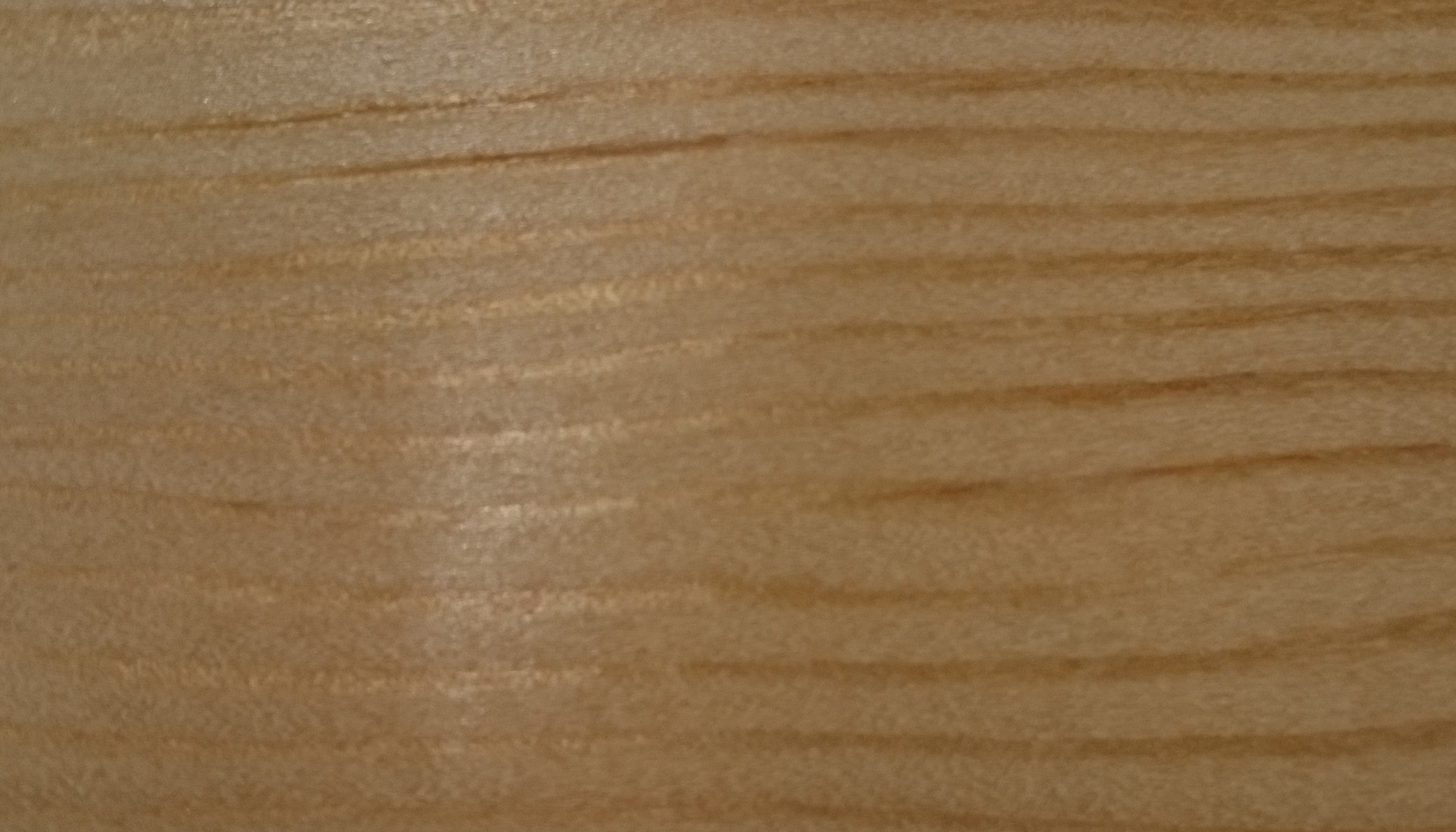 Amazon.co.jp: Xyladecor Interior Fine Top Coat, Shiny, 7.7 lbs 