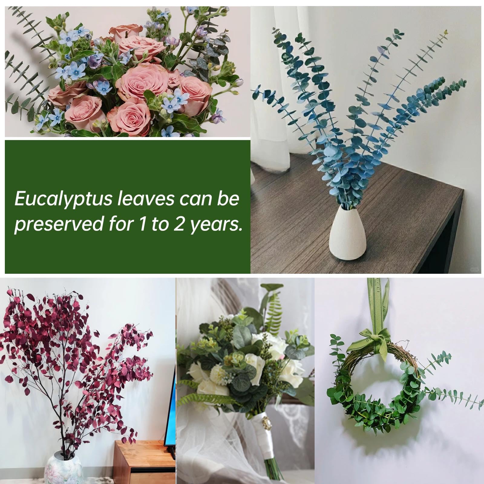 Lot de 30 tiges d'eucalyptus séchées pour suspension de douche, décoration