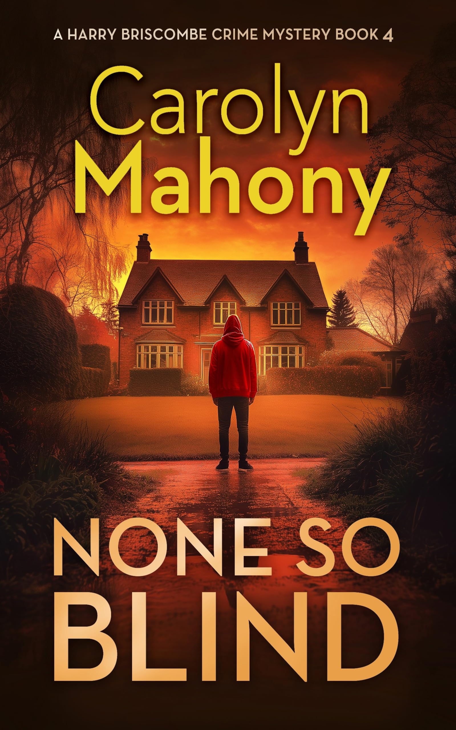 None So Blind: 4 (DI Harry Briscombe Mystery)