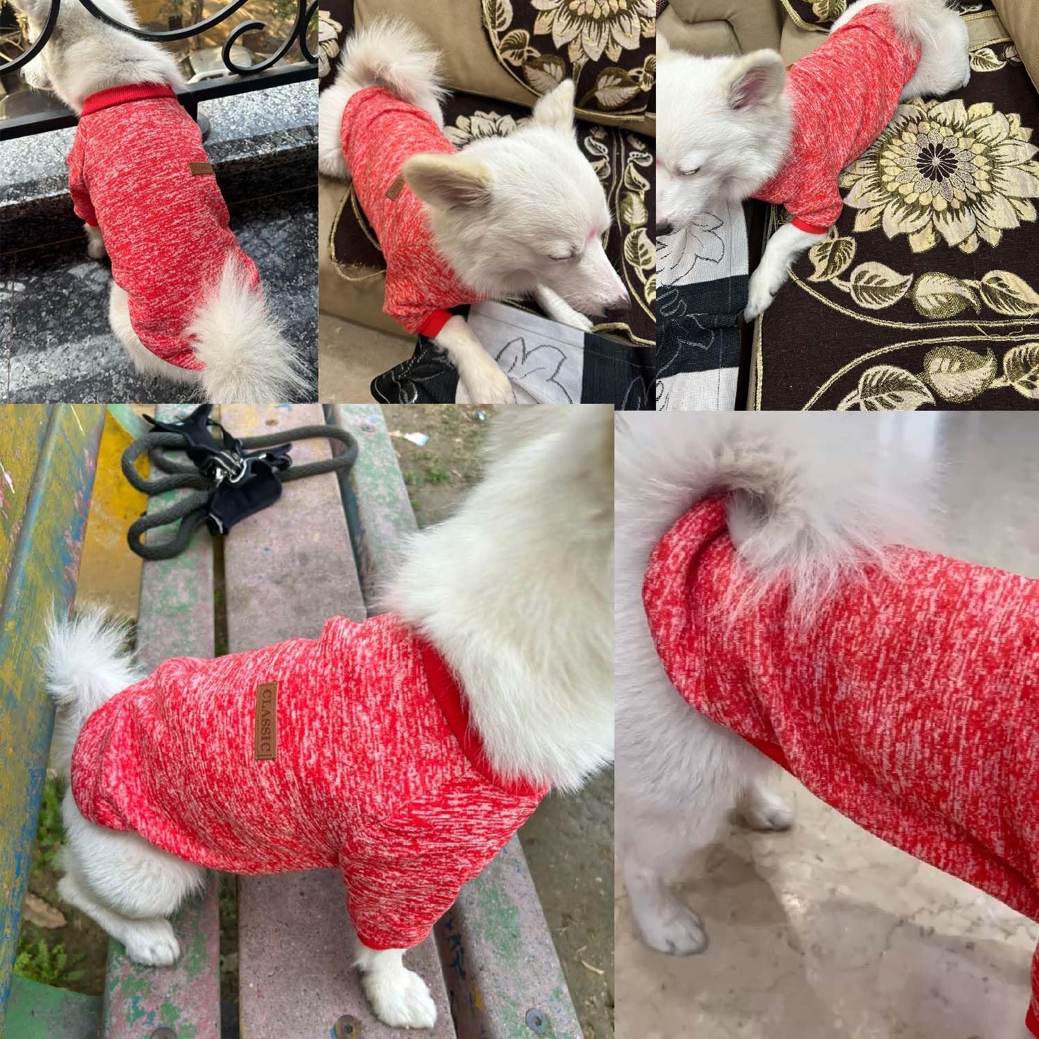 Lulala Dog Classic Knitwear Sweater, Fleece Coat only for Small Dog & Puppies, Warm Pet Dog Cat Clothes, Soft Puppy Customs (Orange-Red-6 Inch) 4