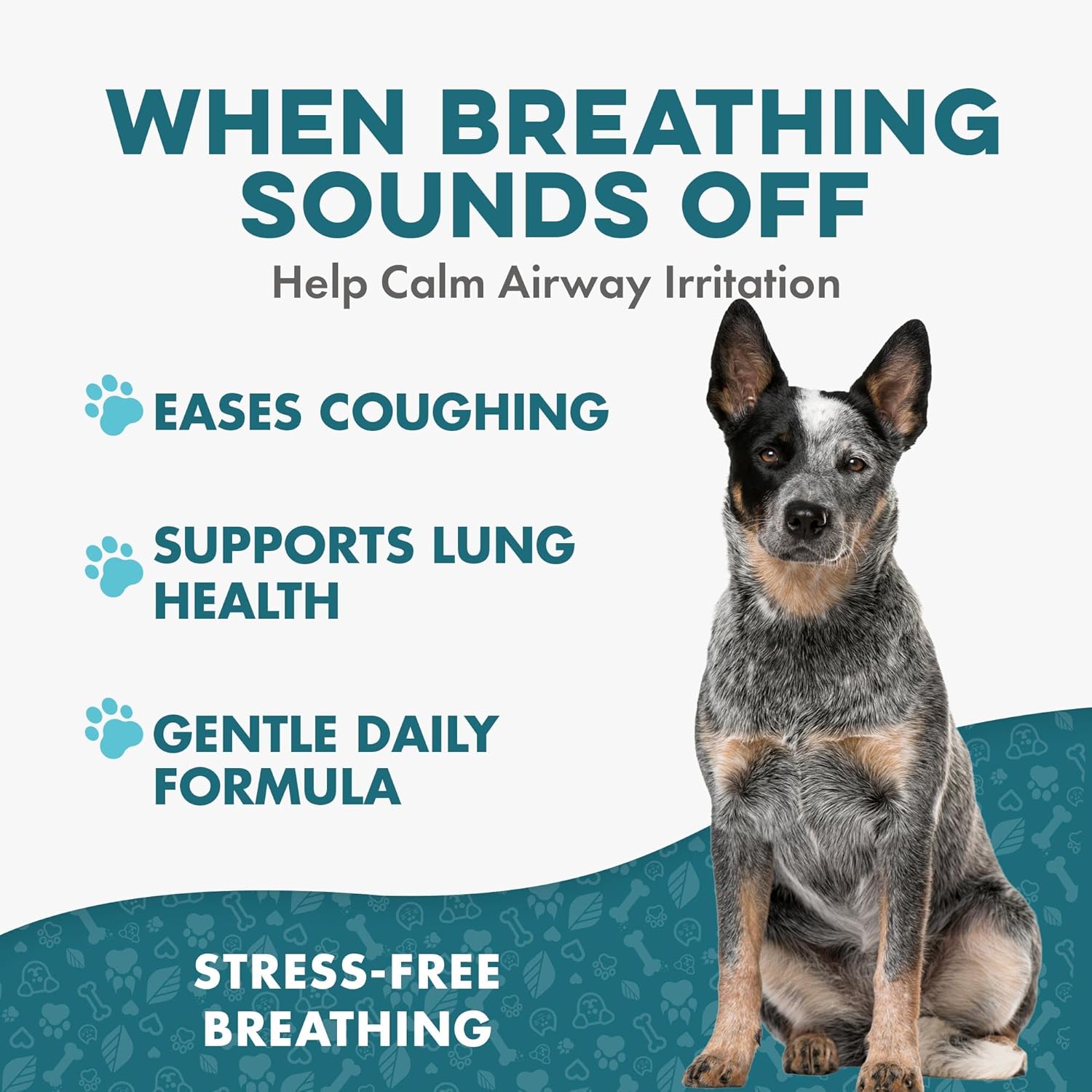 Breathe Easy Natural Cough Relief for Dogs - Gentle Senior Dog Respiratory, Congestion and Sneezing Relief Plus Trachea and Airway Support for Brachycephalic Dogs Ensures Calm Walks & Restful Sleep