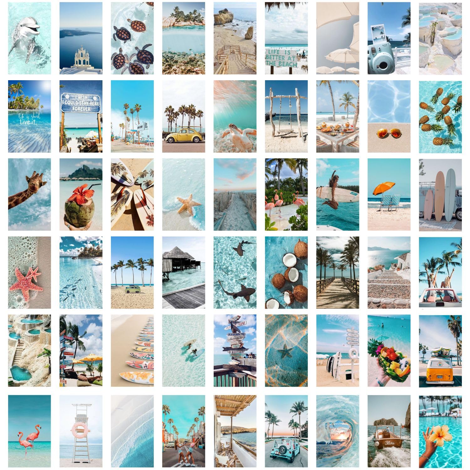 Kitty Cat Beach Summer Aesthetic Wall Collage Kit || 54 Unique Poster Set + Free Tape, 4x6in Each, Posters: Dorm, Hostel Essential, Aesthetic Room Decor (Beach Summer) (B0D5WBQWKD) Amazon Price History, Amazon Price Tracker