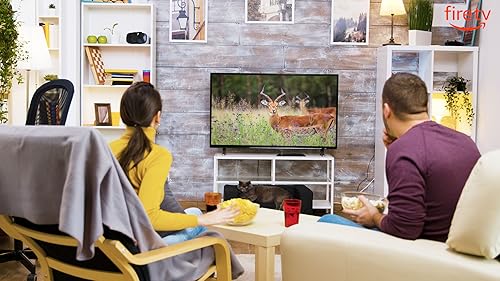 Animais do Mundo 4K - Animais que chamam a Selva de Lar