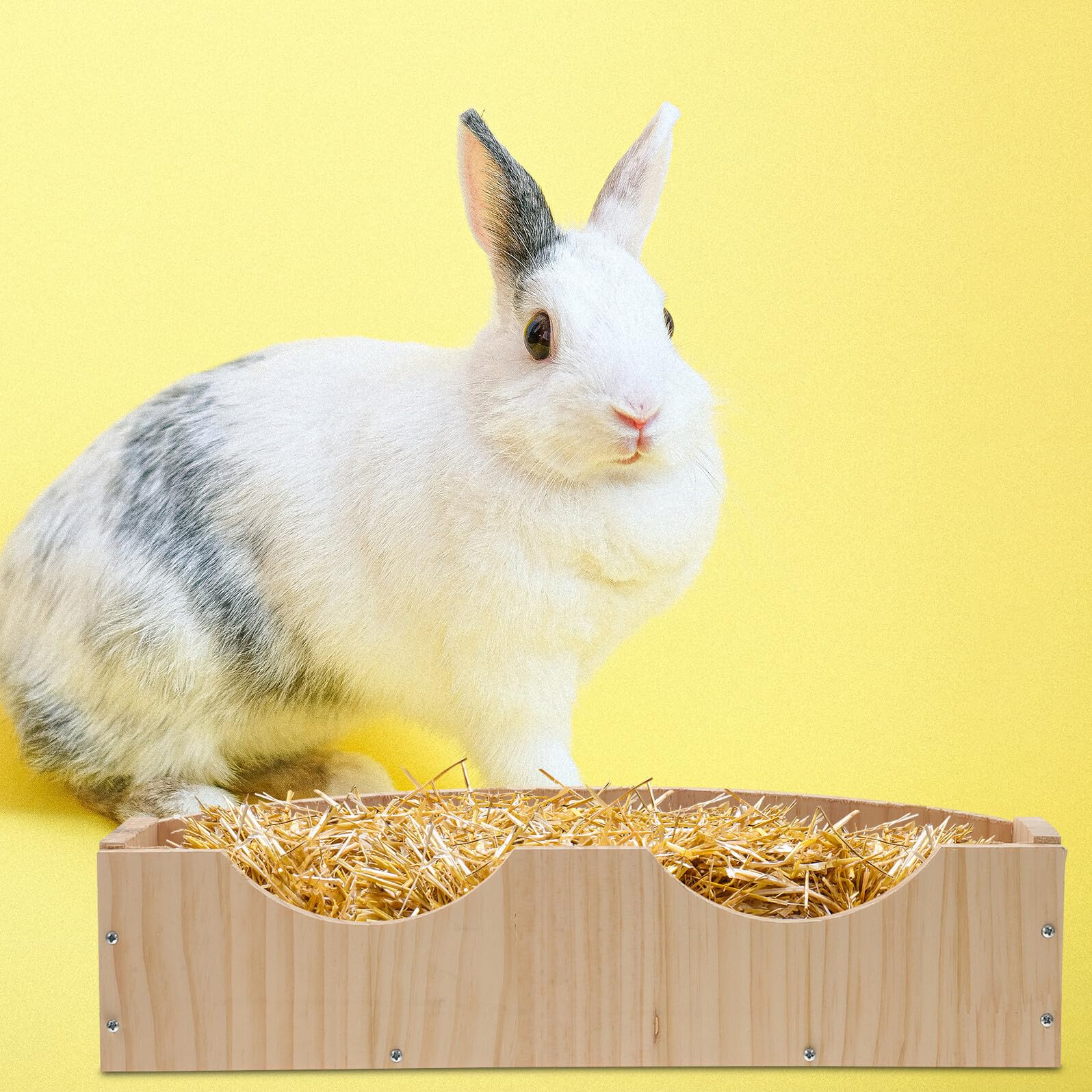 Toyvian Holz Futternapf mit Fixator für Meerschweinchen und Kleine Tiere Leichter Zugang Stabiler Hamsterbehälter in Khaki für Einfachen Gebrauch im Tierbedarf