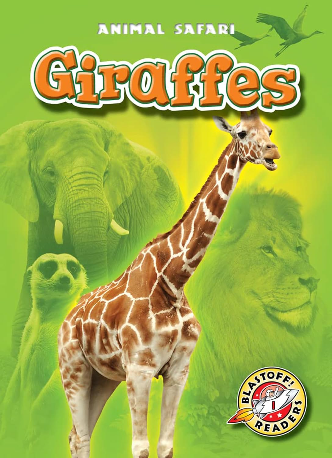 Giraffes (Blastoff! Readers: Animal Safari)