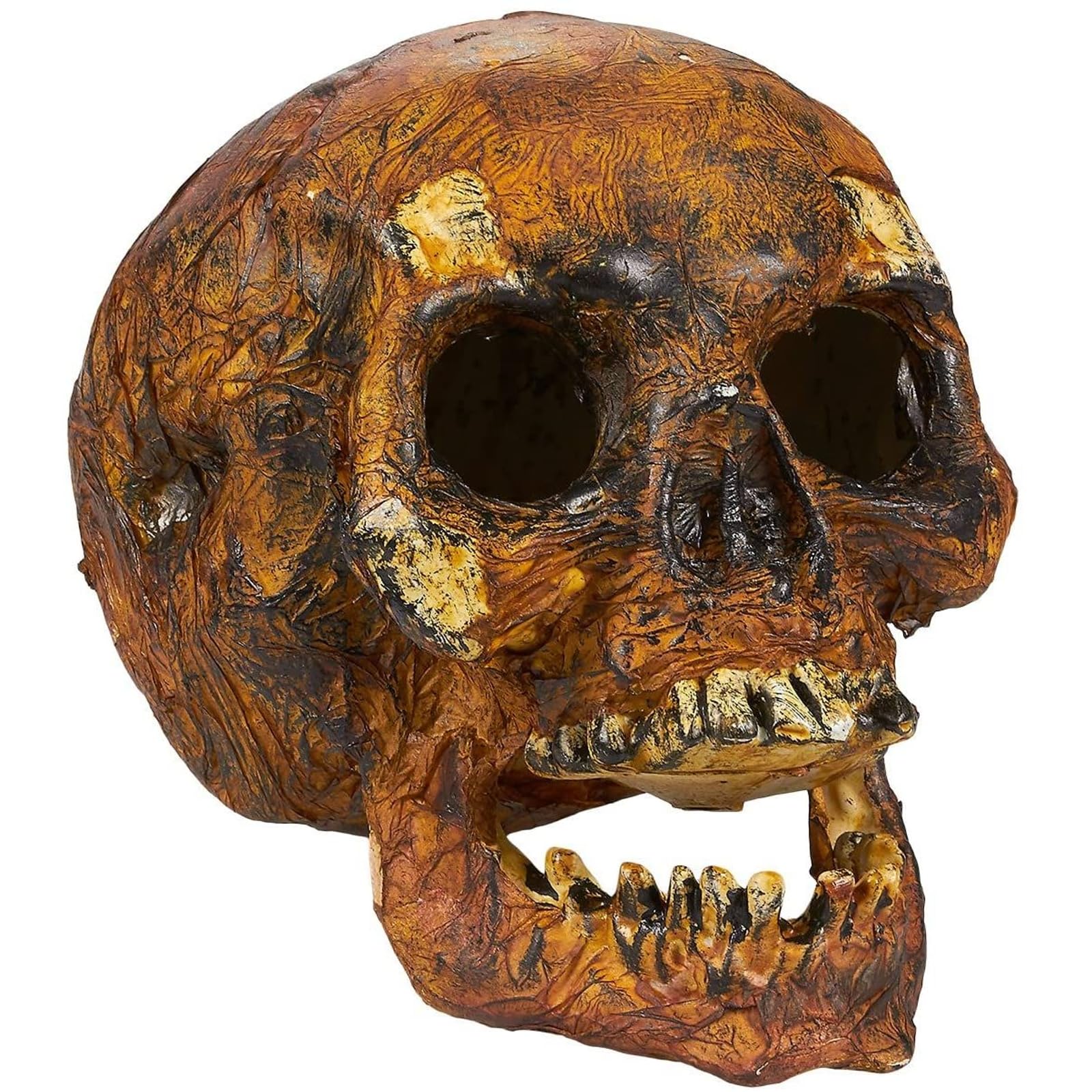 Blue Panda Rotting Skull - Halloween Decoration - Realistic