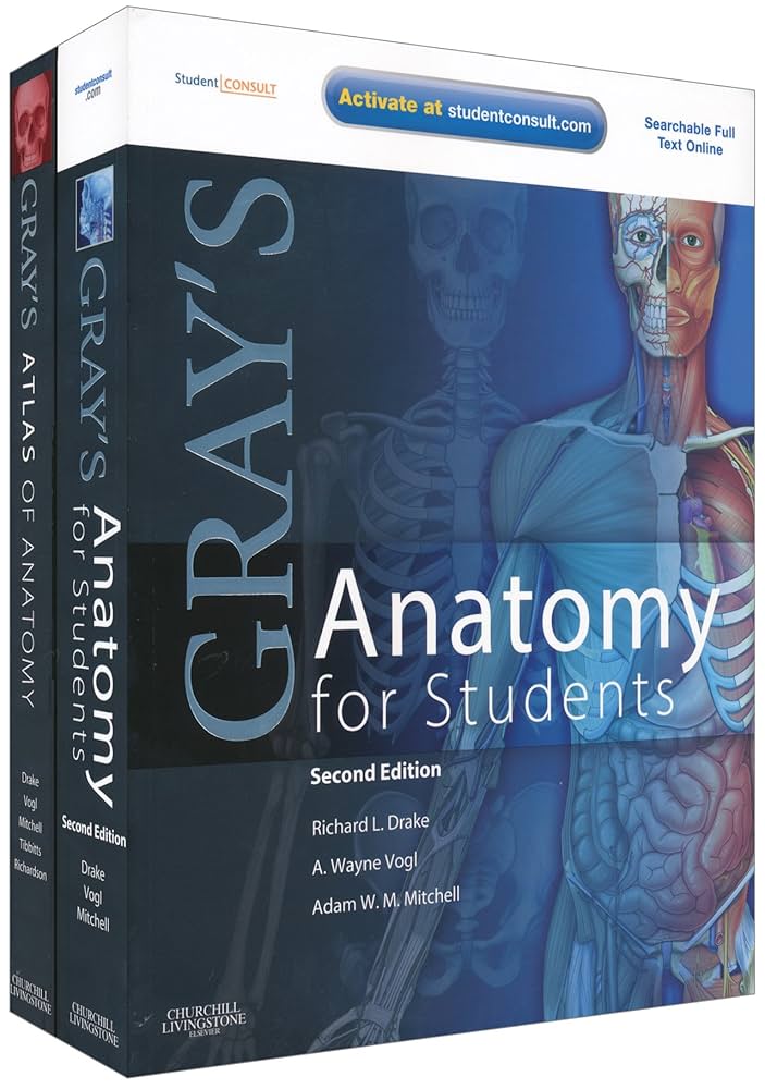 Gray's Anatomy 第39版 Gray's Anatomy 第39版 Buy Gray's Anatomy: The Anatomical