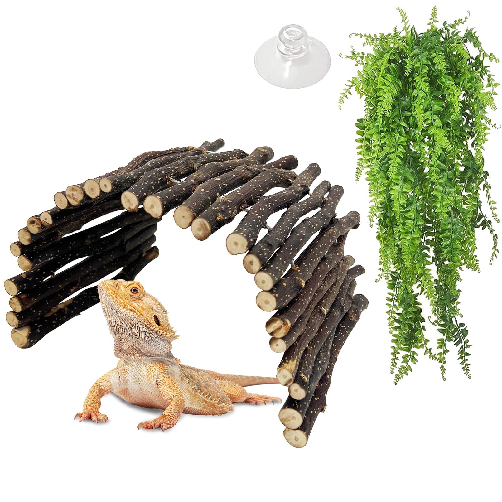 Hamiledyi 2pcs Large Reptile Hides Bearded Dragon Hide - habitat decor | Mubboo