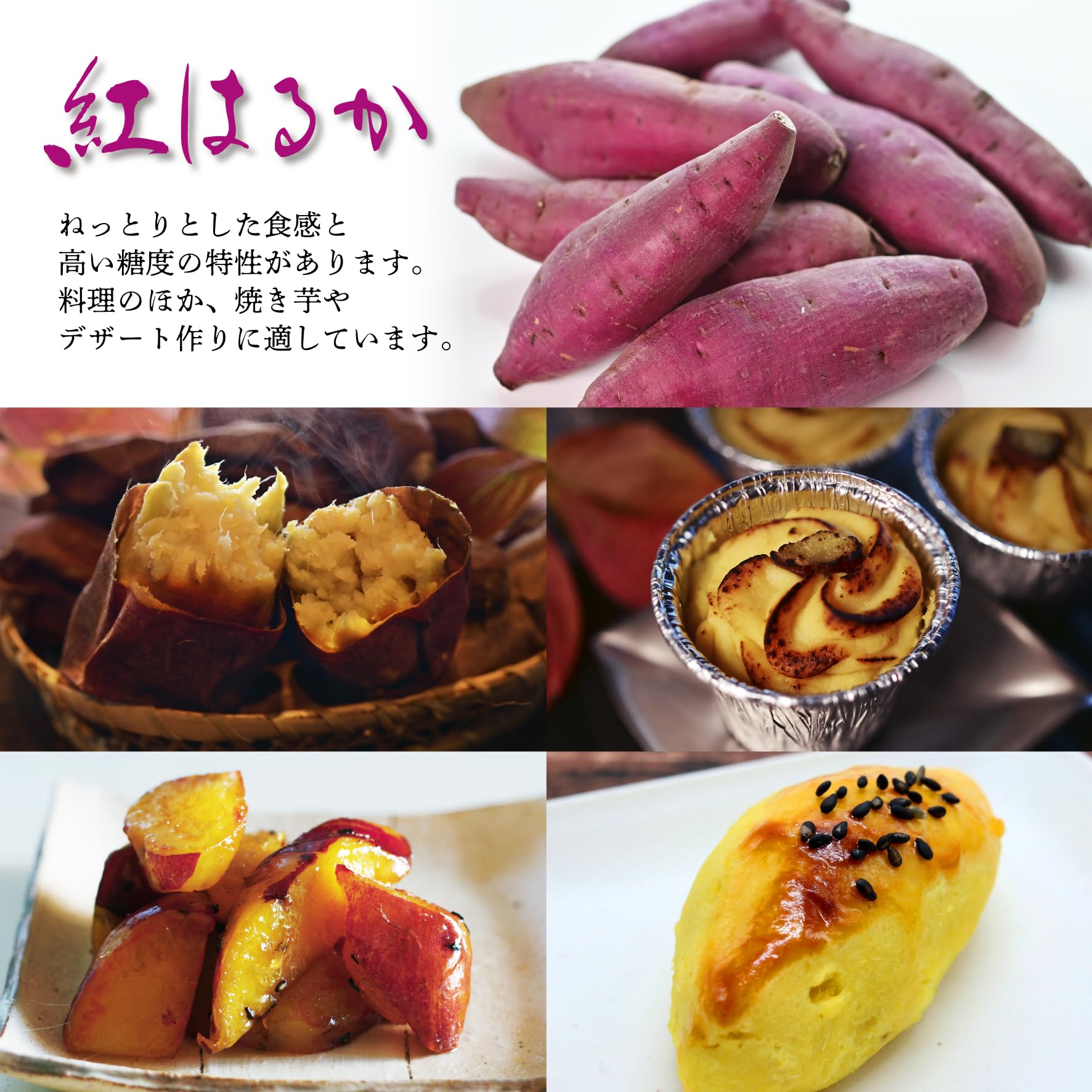 みかん茨城県産 超熟成シルクスイート20キロ みかん茨城県産 超熟成シルクスイート20キロ みかん茨城県産 超熟成