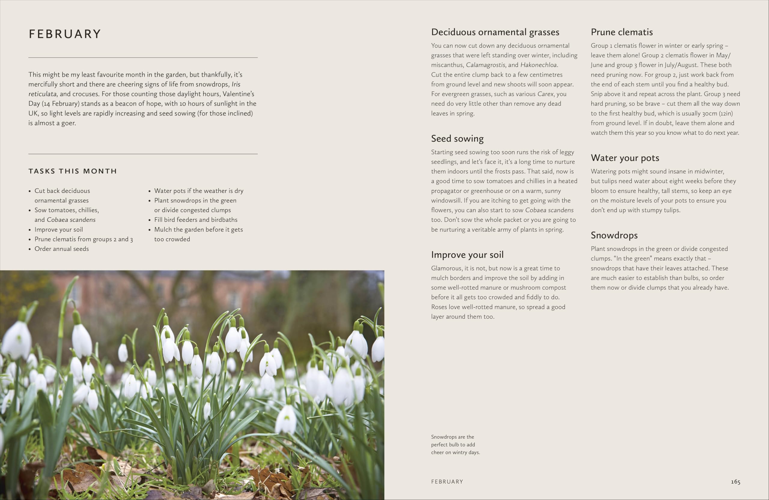 How to Design a Garden: Create and Maintain Your Dream Garden: A SUNDAY TIMES BESTSELLER