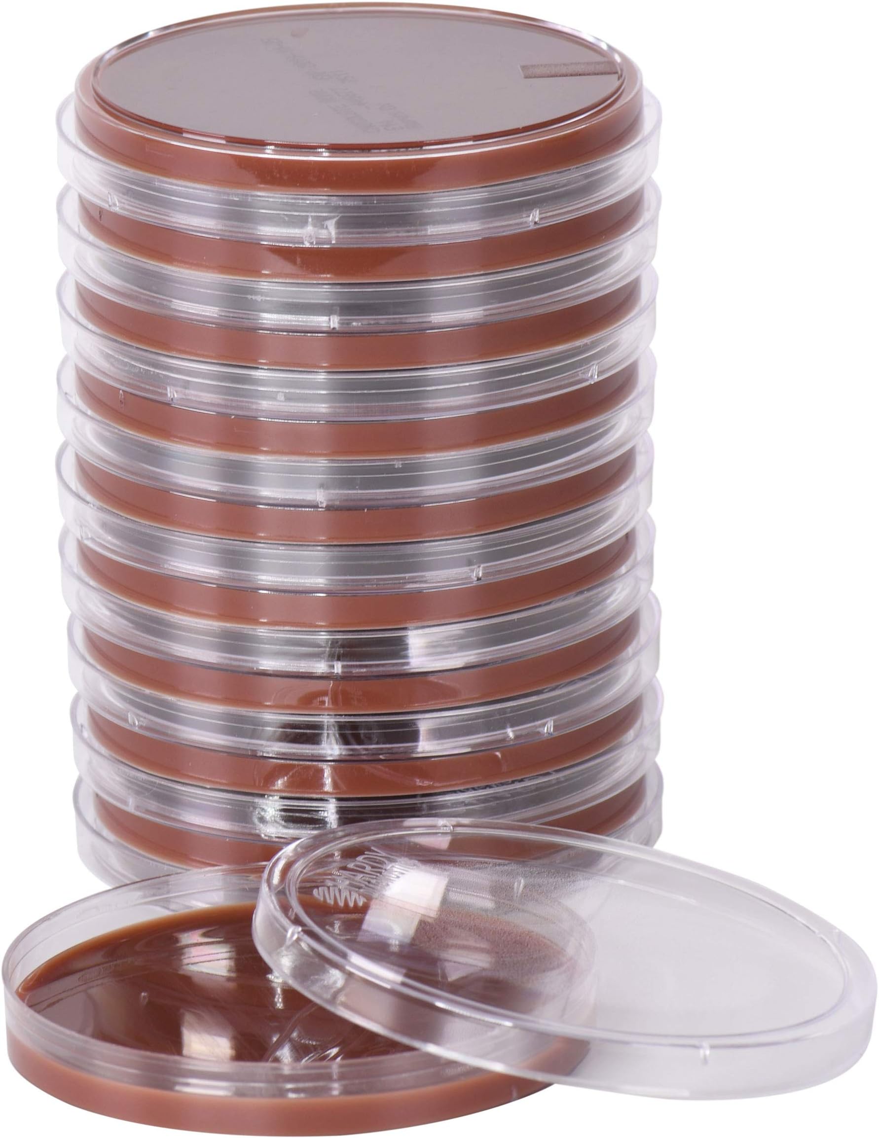 Chocolate Agar with Bacitracin, for Haemophilus Isolation, 15x100mm Plate, Order by the Package of 10, by Hardy Diagnostics