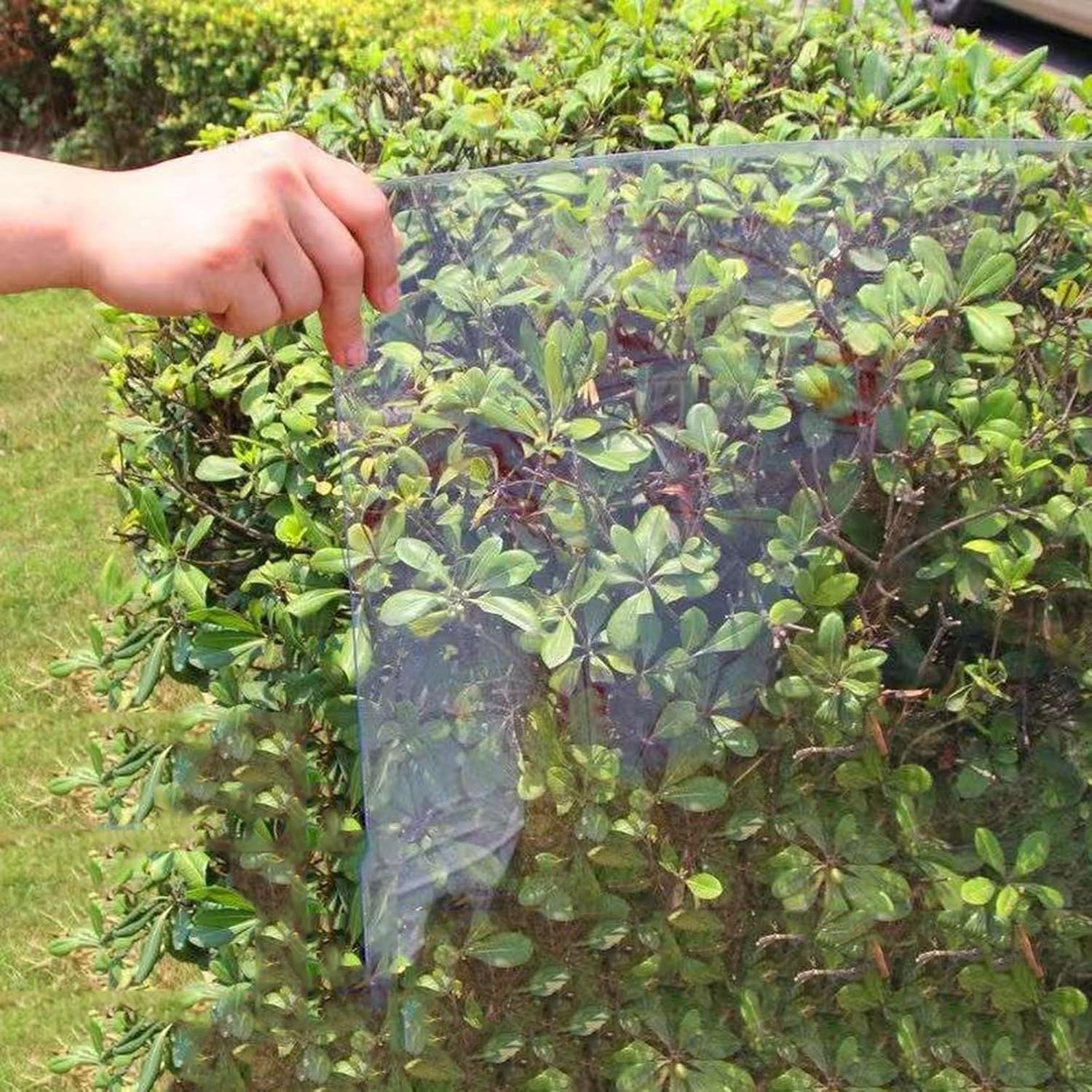 NIANXINN Clear Polycarbonate Sheet Roof Panels Acrylic Plastic Sheet,UV Protection Rainproof Cover,Outdoor Awning Shelter,for Greenhouses,Sheds,Carports,Huts,Kennels,Easy to Cut (3.3 x 13.1ft)