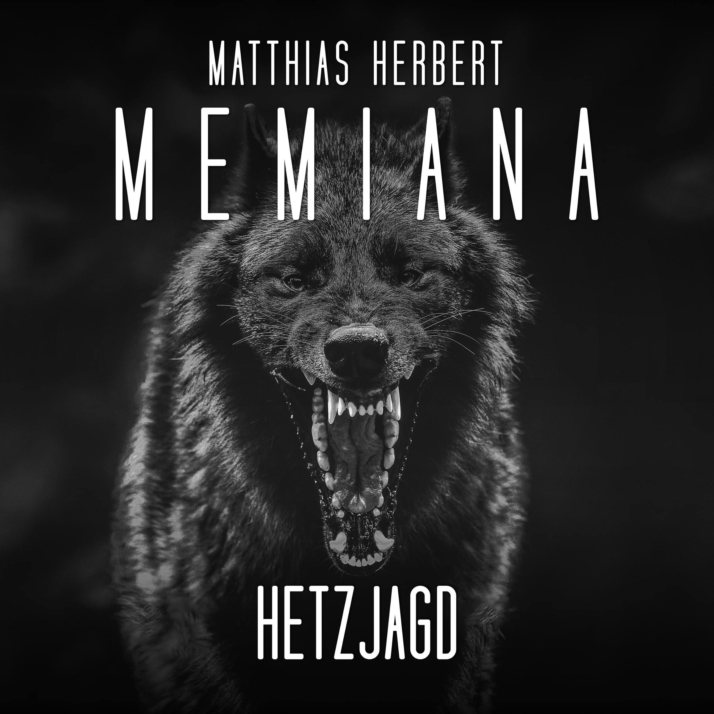 Cover art for Hetzjagd