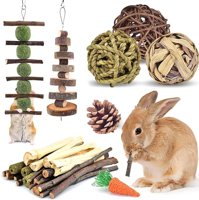 ERKOON Kaninchen Zubehoer, Kaninchen Kauspielzeug, Hasen Beschäftigung Kleintiere Natürliche Timothy Heu Sticks Apfelstäbchen Zahnpflege Leckerlis Chinchilla Meerschweinchen Rennmäuse (Mittelgroße) product image