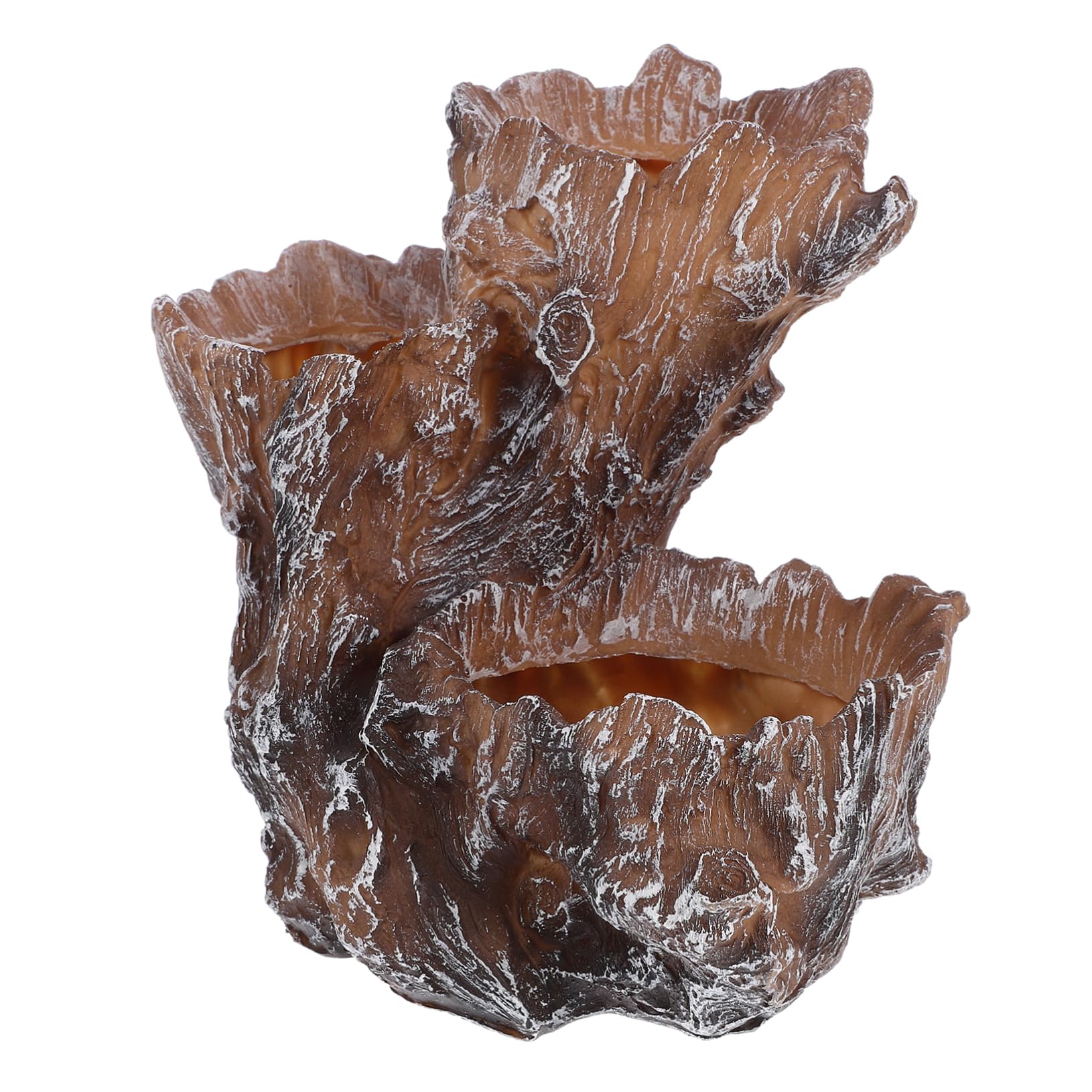 Pot de fleurs rustique pour souche d'arbre et plantes succulentes
