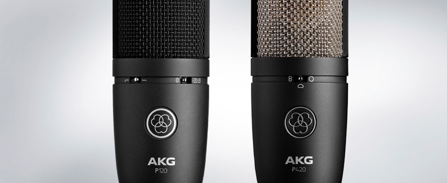 AKG - P120 Perception Micrófono Cardioide Vocal, Negro : Amazon.es