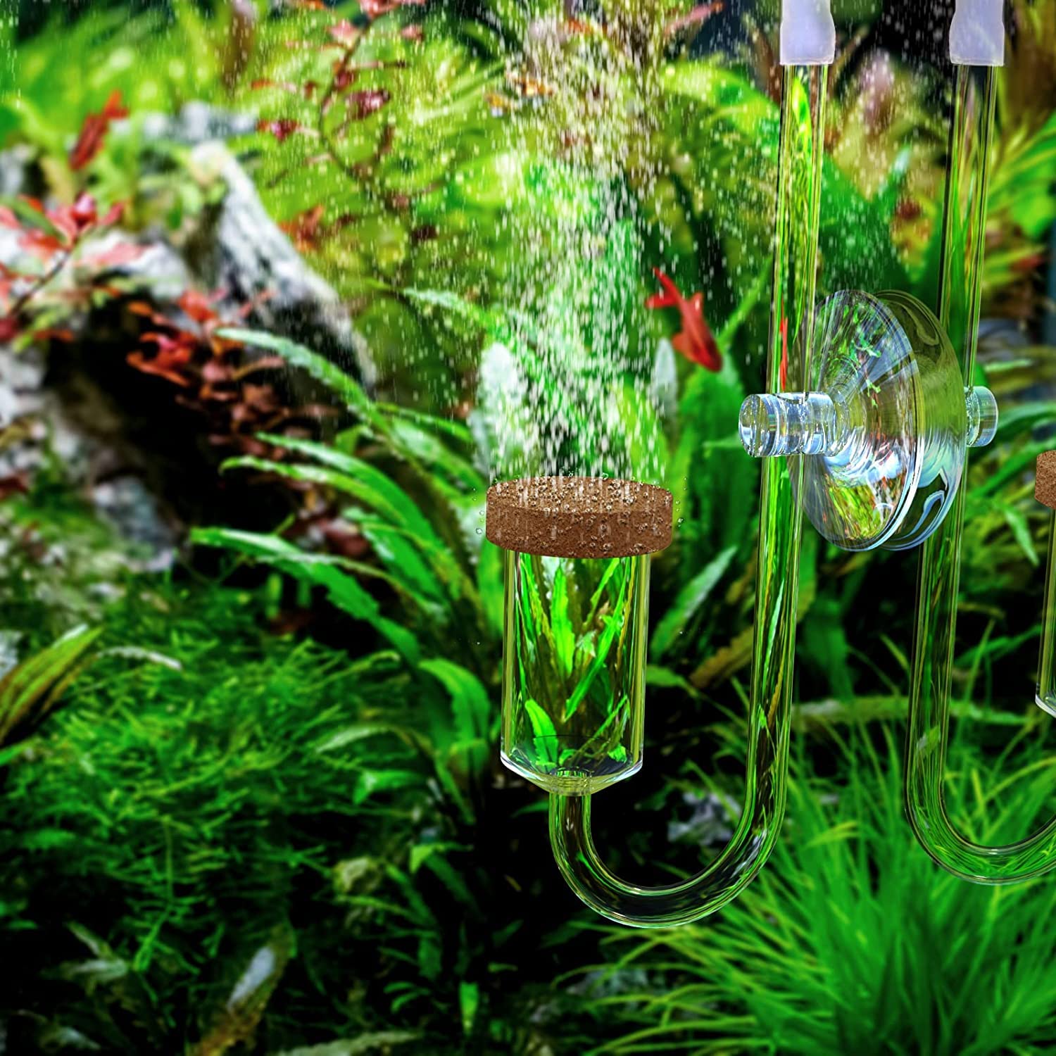FZONE 17mm CO2 Diffusor | Arbeiten mit Allen CO2-Systemen | LiterMaßgeschneiderte Keramik |Porösere Membran| Feinste CO2-Blasen|Ultraklares Acrylglas - Hergestellt in Südkorea （M-17mm）