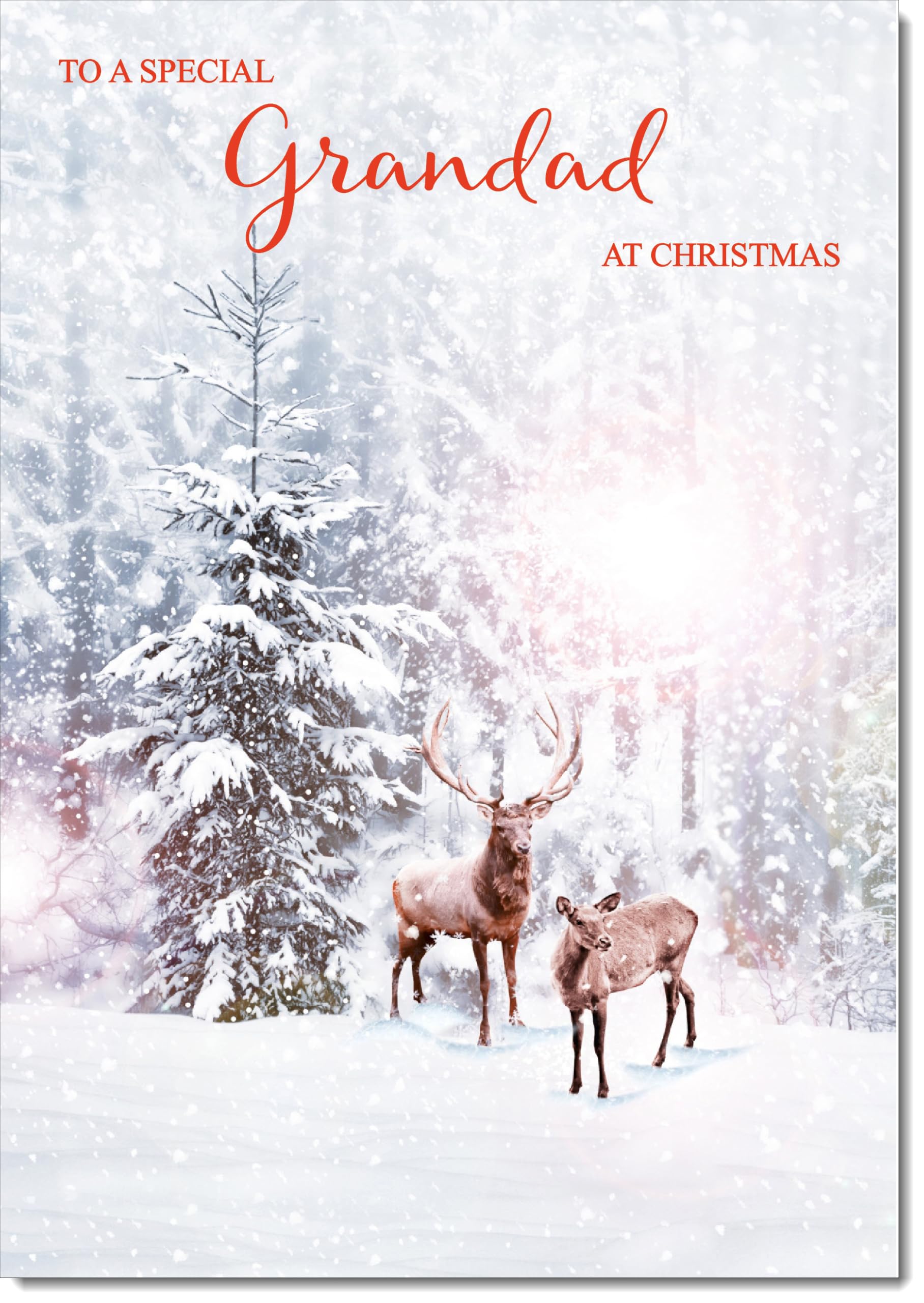 doodlecards Grandad Christmas Card Deers in Forest Large A4 Size Christmas Card for Grandad with Plain Envelope