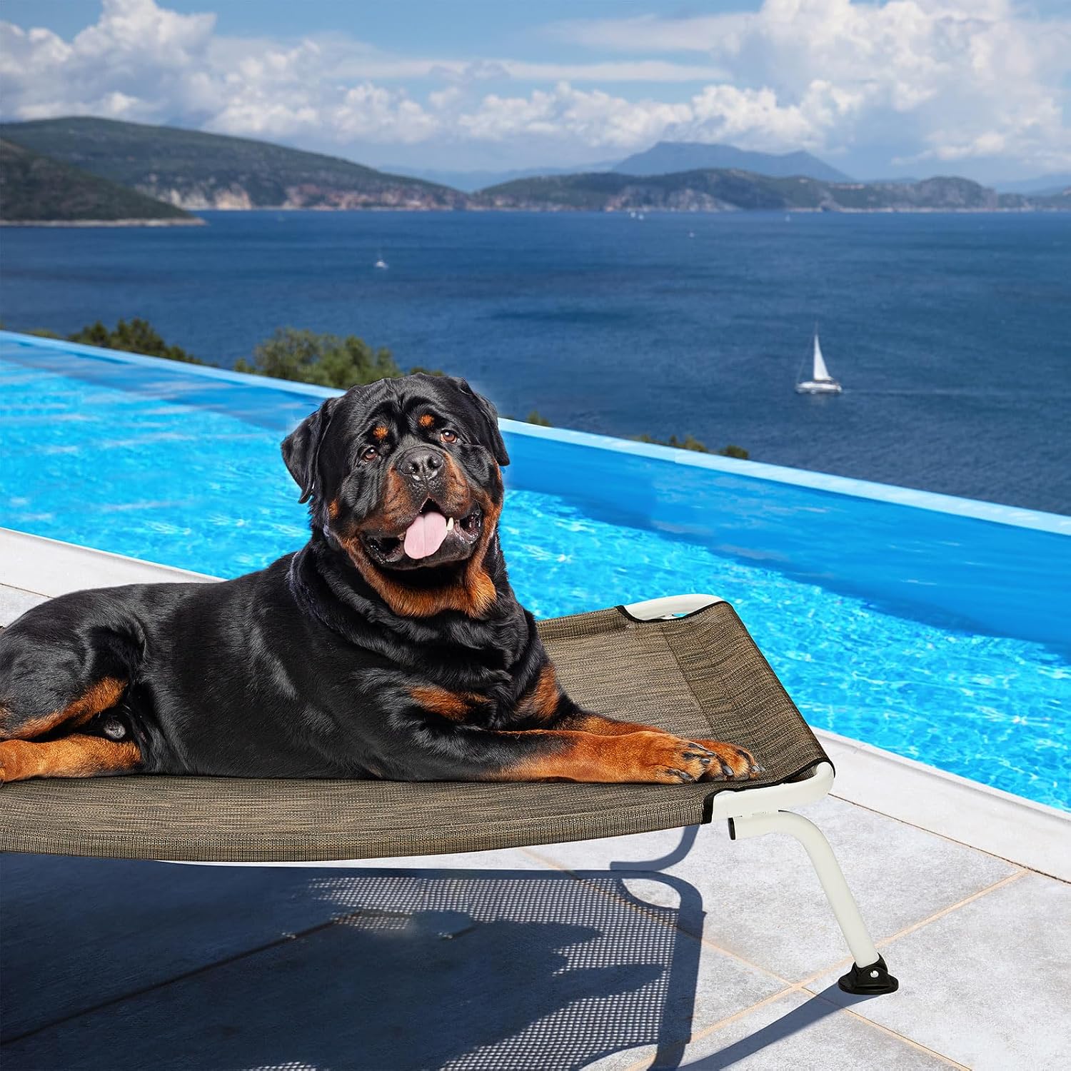 Veehoo Elevated Dog Bed for Outdoor, Cooling Waterproof Raised Dog Cots Beds XL, Curved Off Ground Pet Hammock Cot Lifted for Outside, up to 150lbs, White Legs, Brown 49"