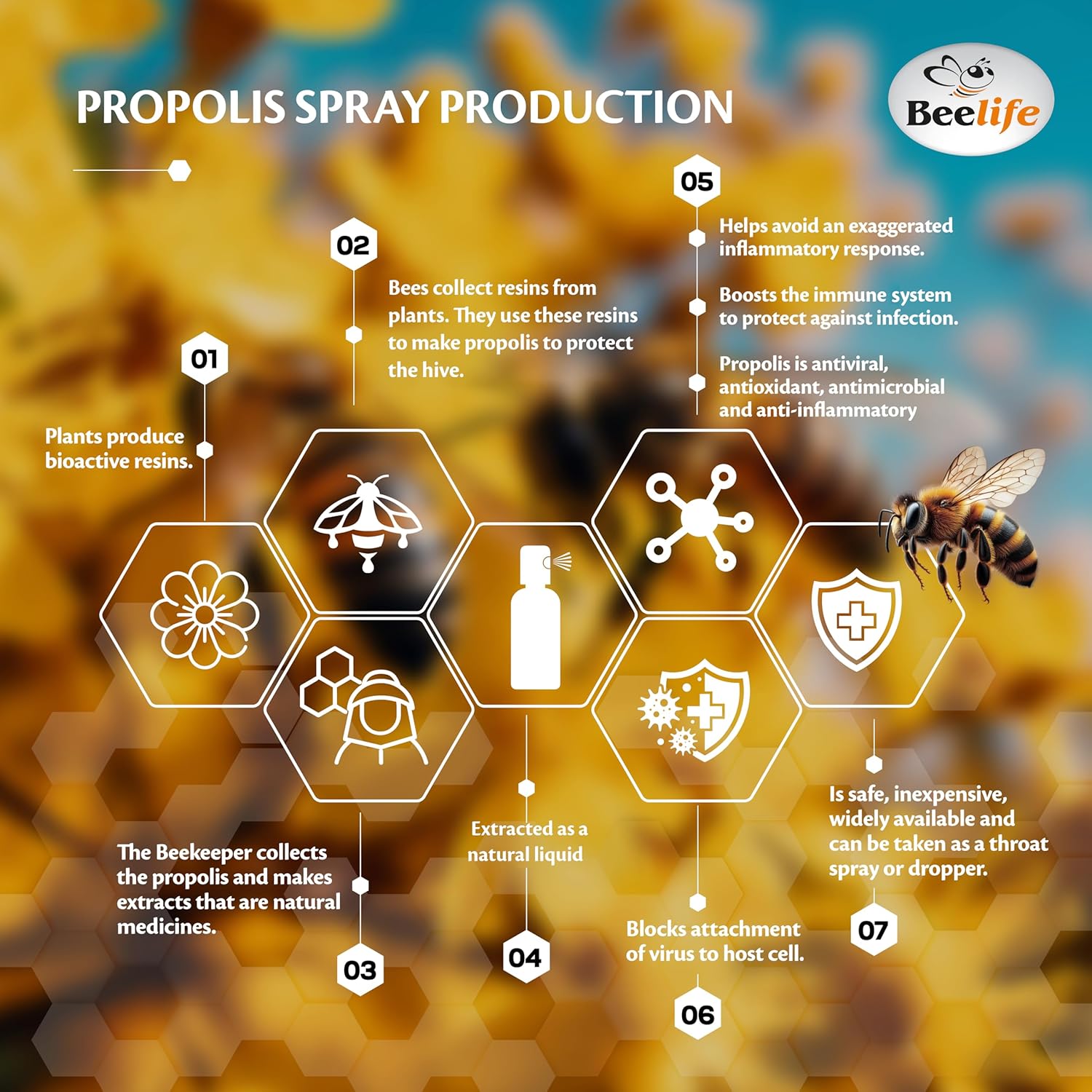 Beelife Propolis Throat Spray – Bee Propolis Spray for Natural Immune Support & Sore Throat Relief – Rich in Antioxidants, Flavonoids & Artepillin C,No Sugar, Gluten-Free -3-Pack, 90ml (Assorted)