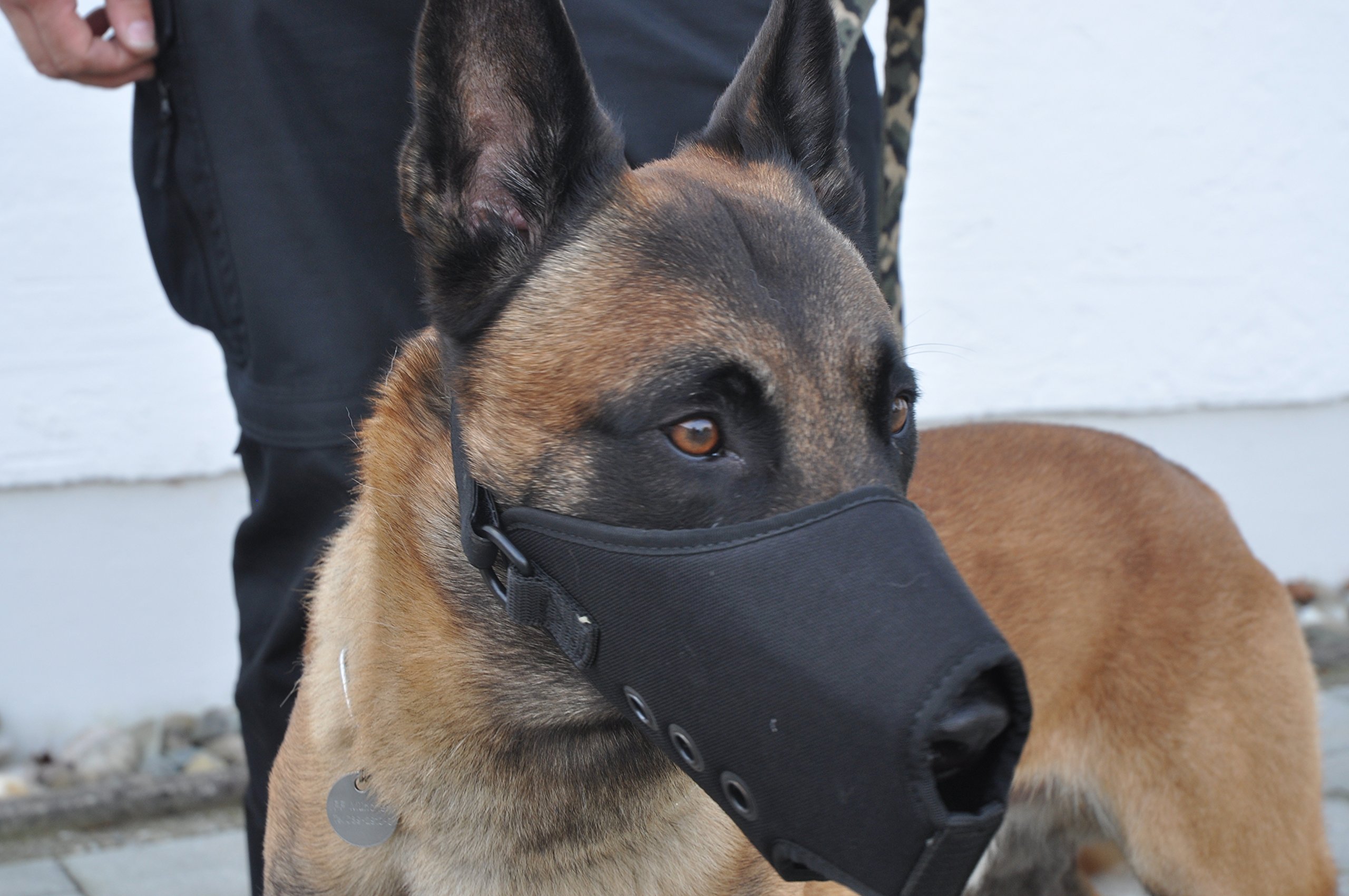 COP® K9 Beisskorb Quick Release (schnell abnehmbar), Cordura® / schwarz, Gr. L